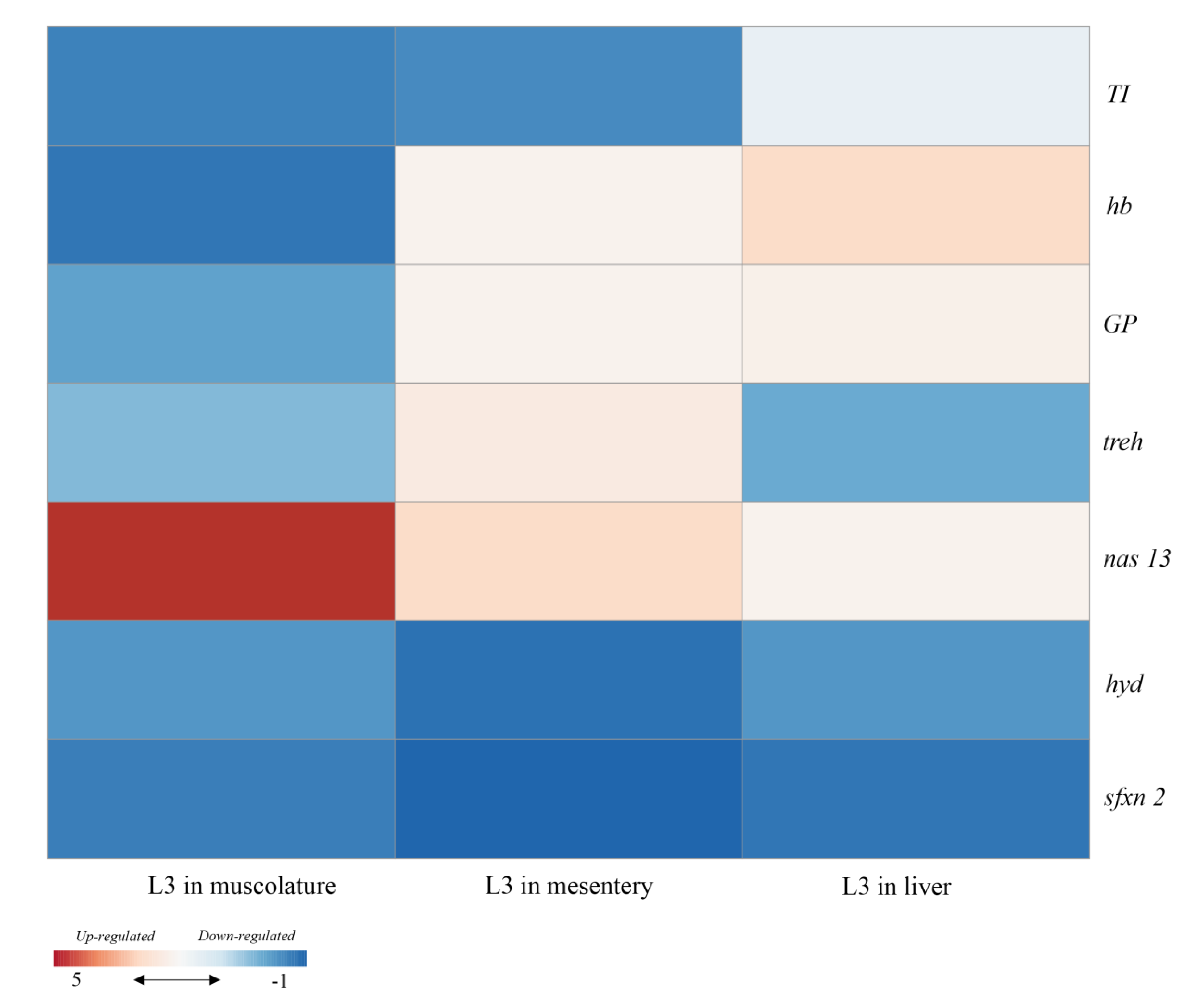 Genes 11 00559 g002 Genes 11 00559 g002