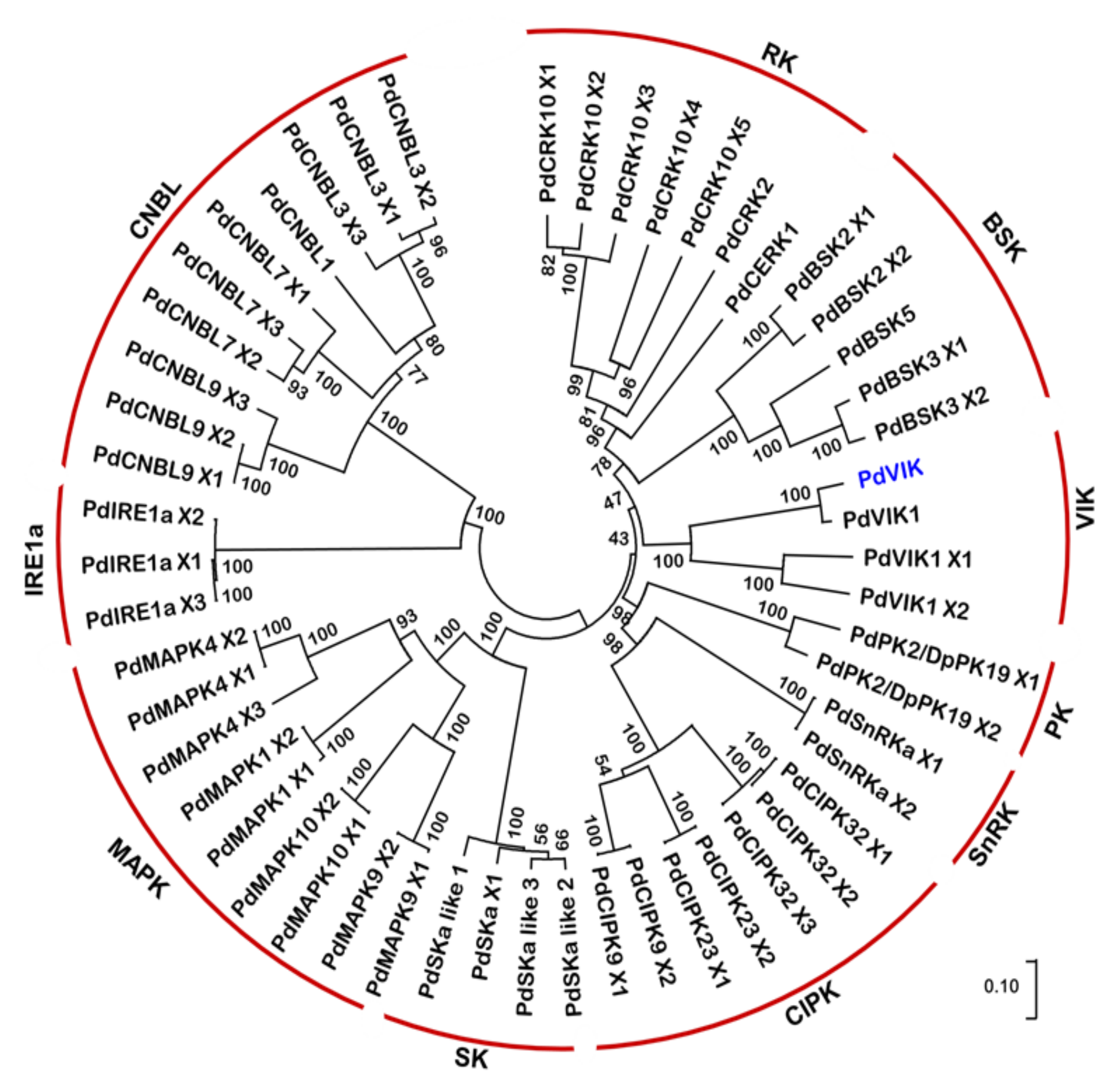 Genes 11 00568 g001 Genes 11 00568 g001