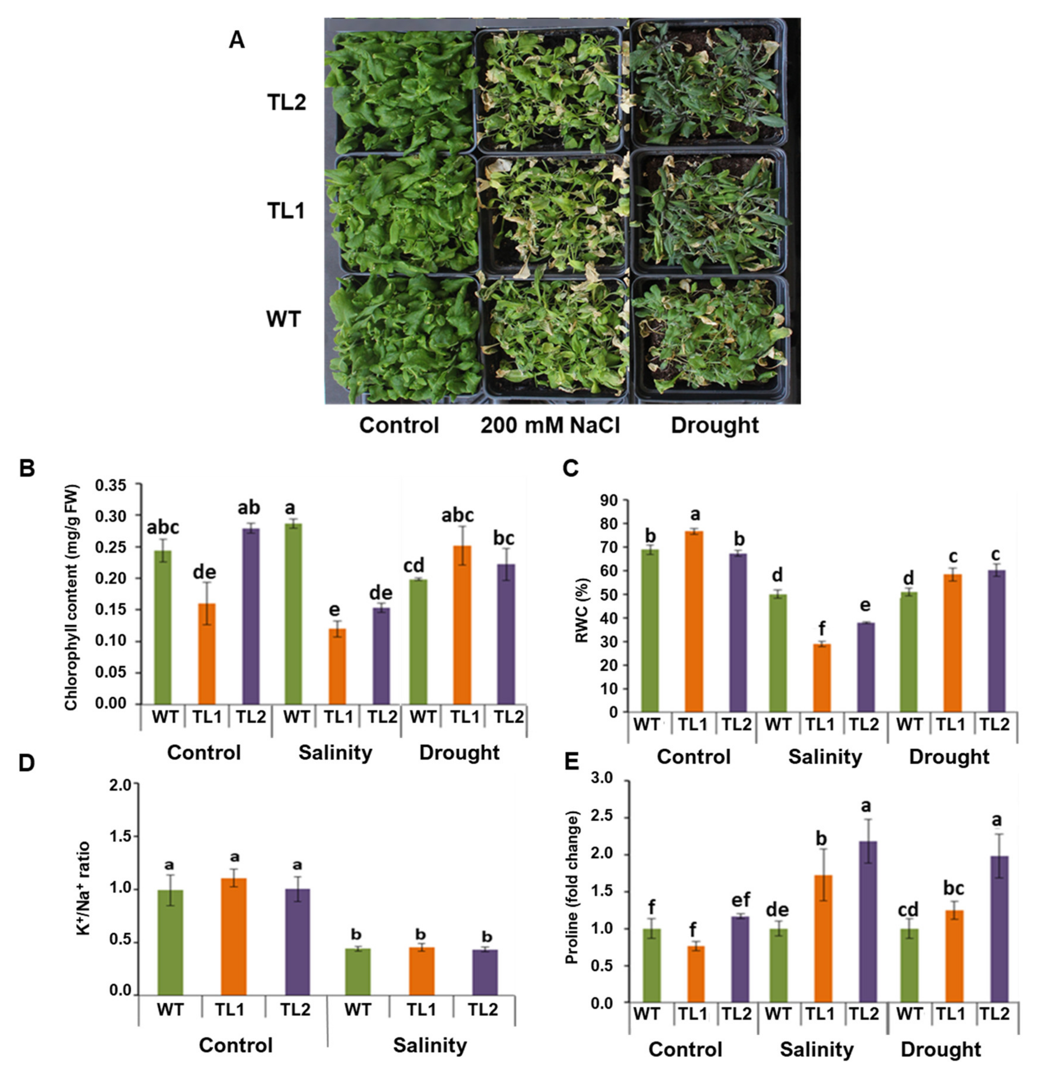 Genes 11 00568 g009 Genes 11 00568 g009