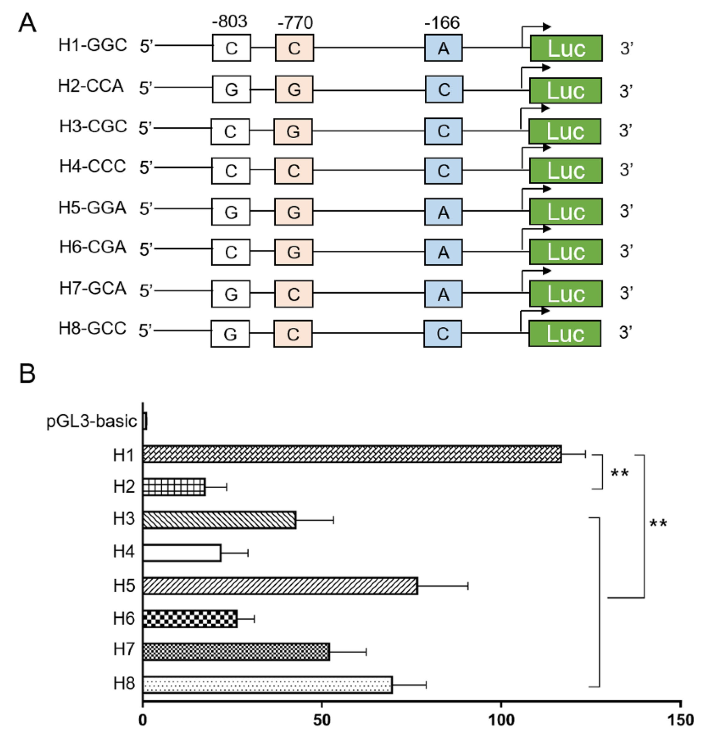 Genes 11 00569 g004