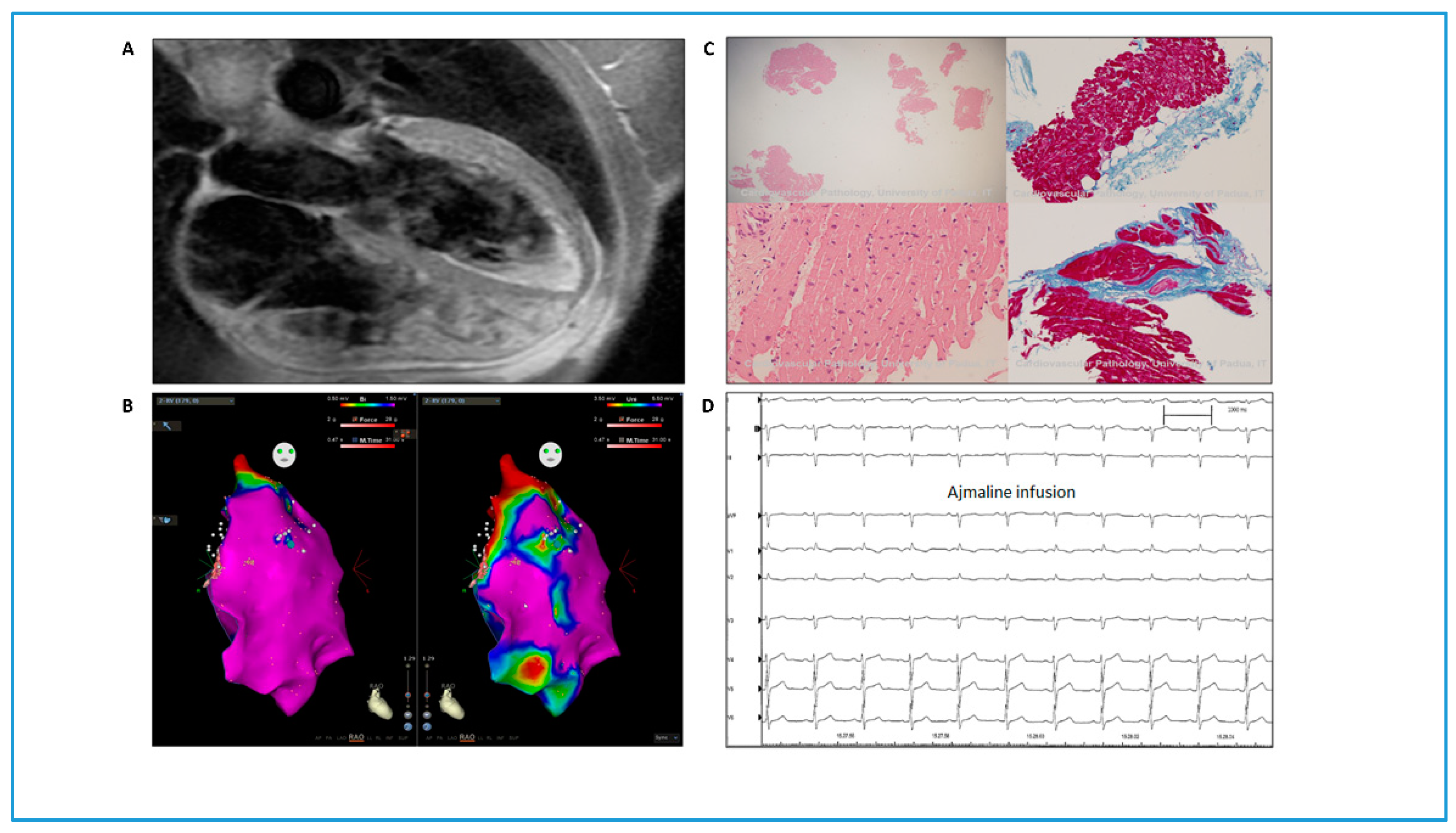 Genes 11 00571 g001 Genes 11 00571 g001