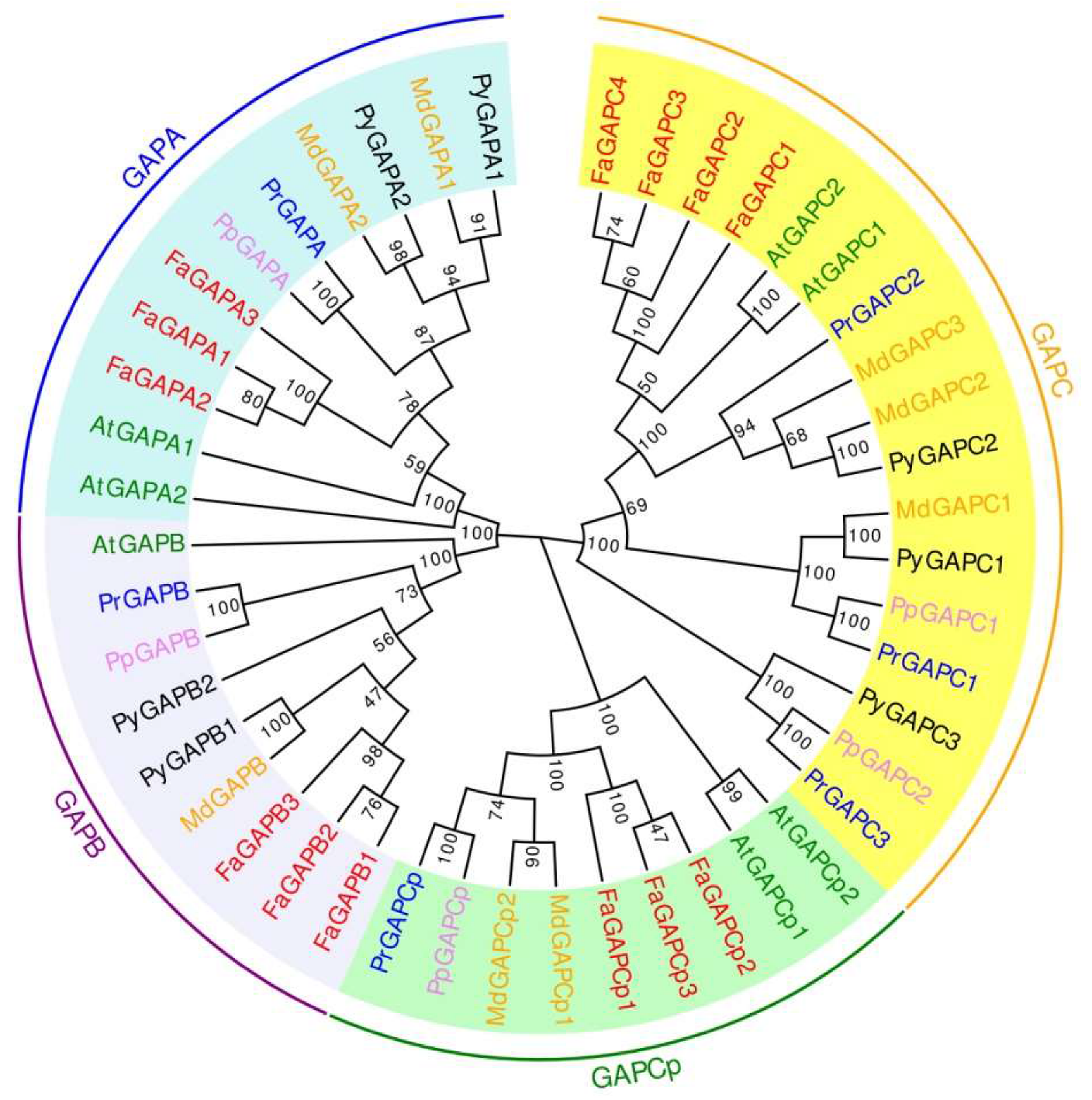 Genes 11 00580 g001 Genes 11 00580 g001