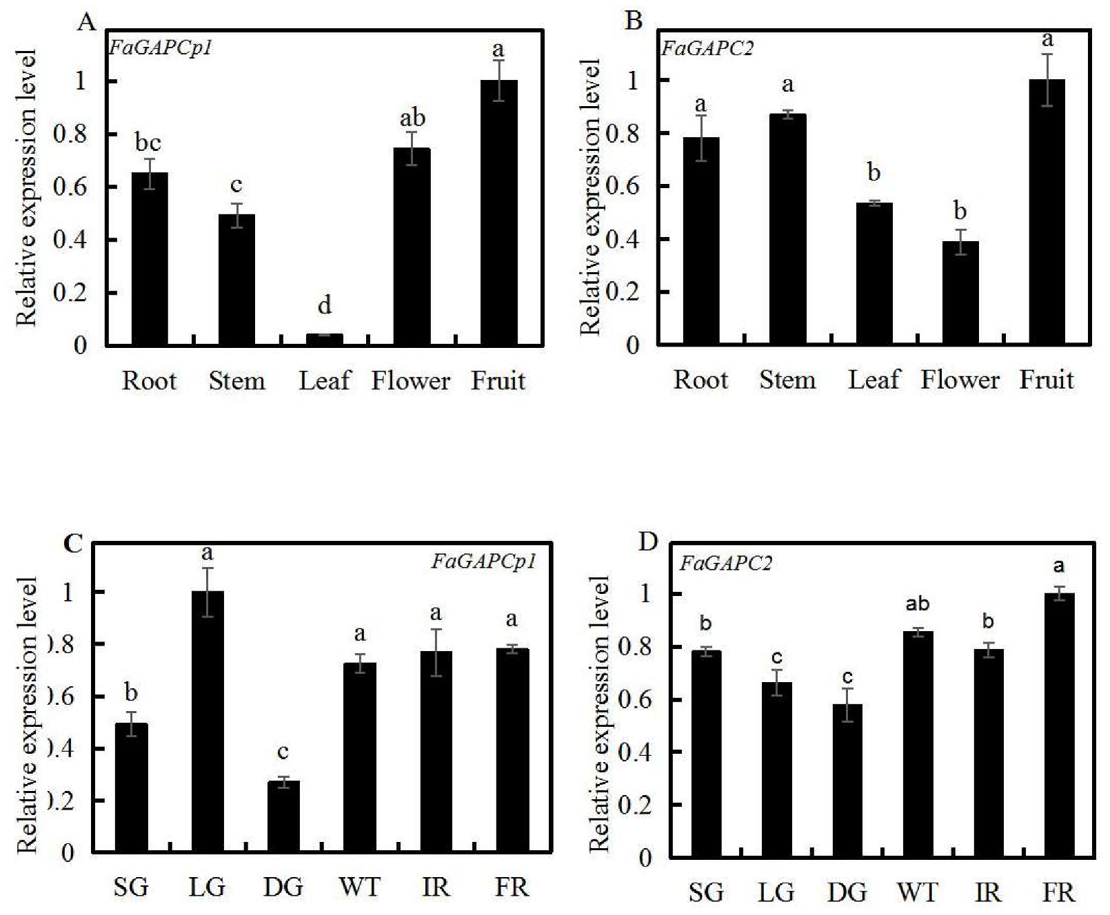 Genes 11 00580 g003 Genes 11 00580 g003