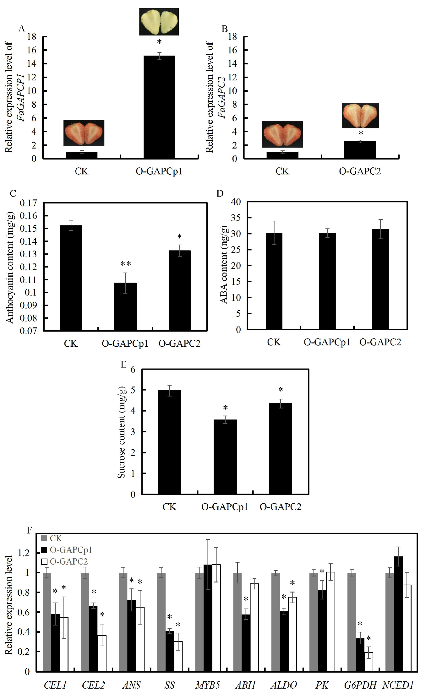 Genes 11 00580 g004 Genes 11 00580 g004