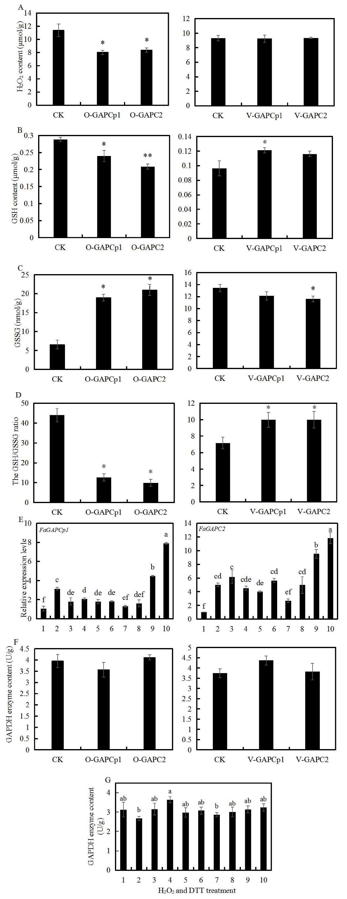 Genes 11 00580 g006 Genes 11 00580 g006