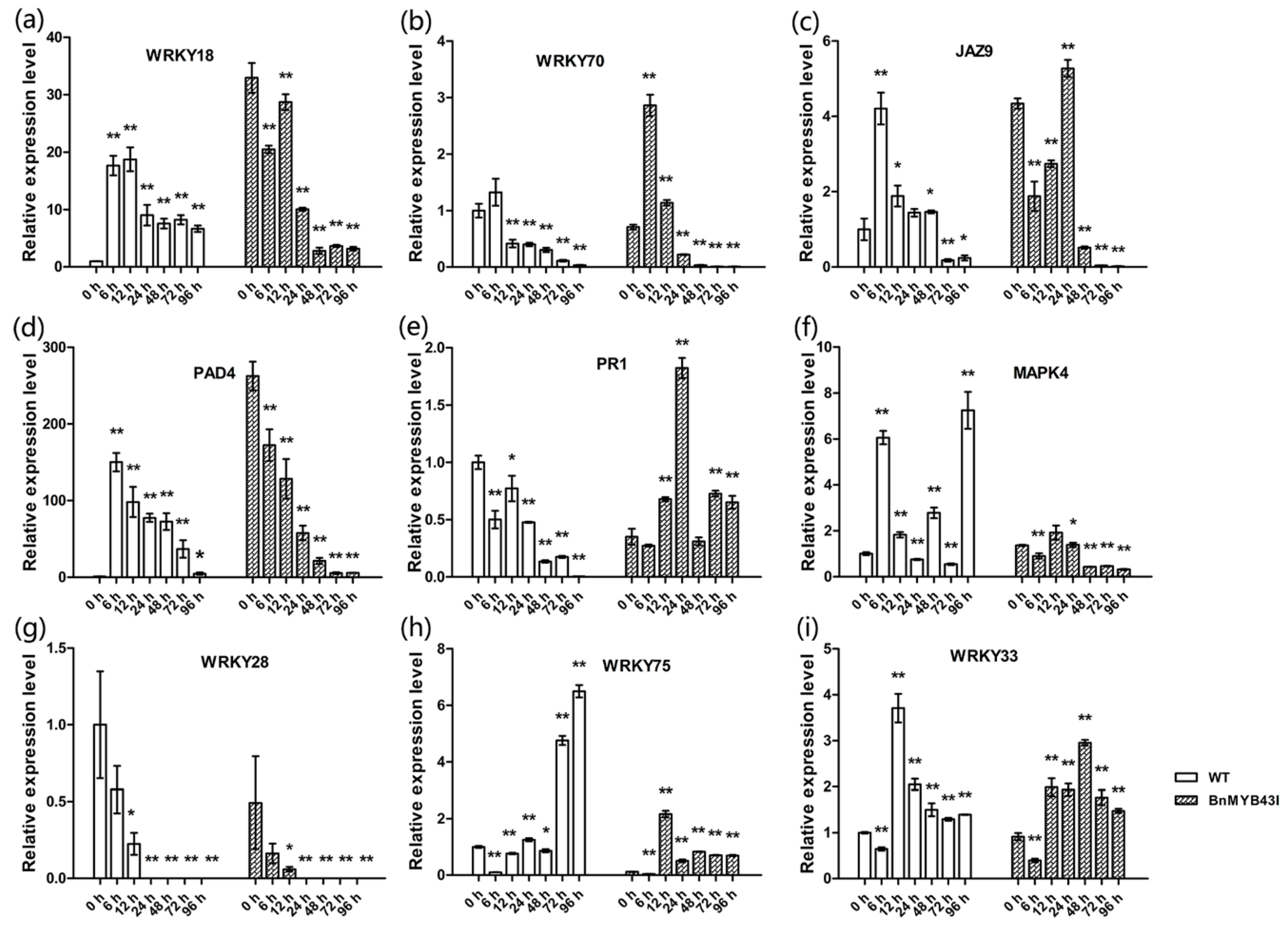 Genes 11 00581 g007