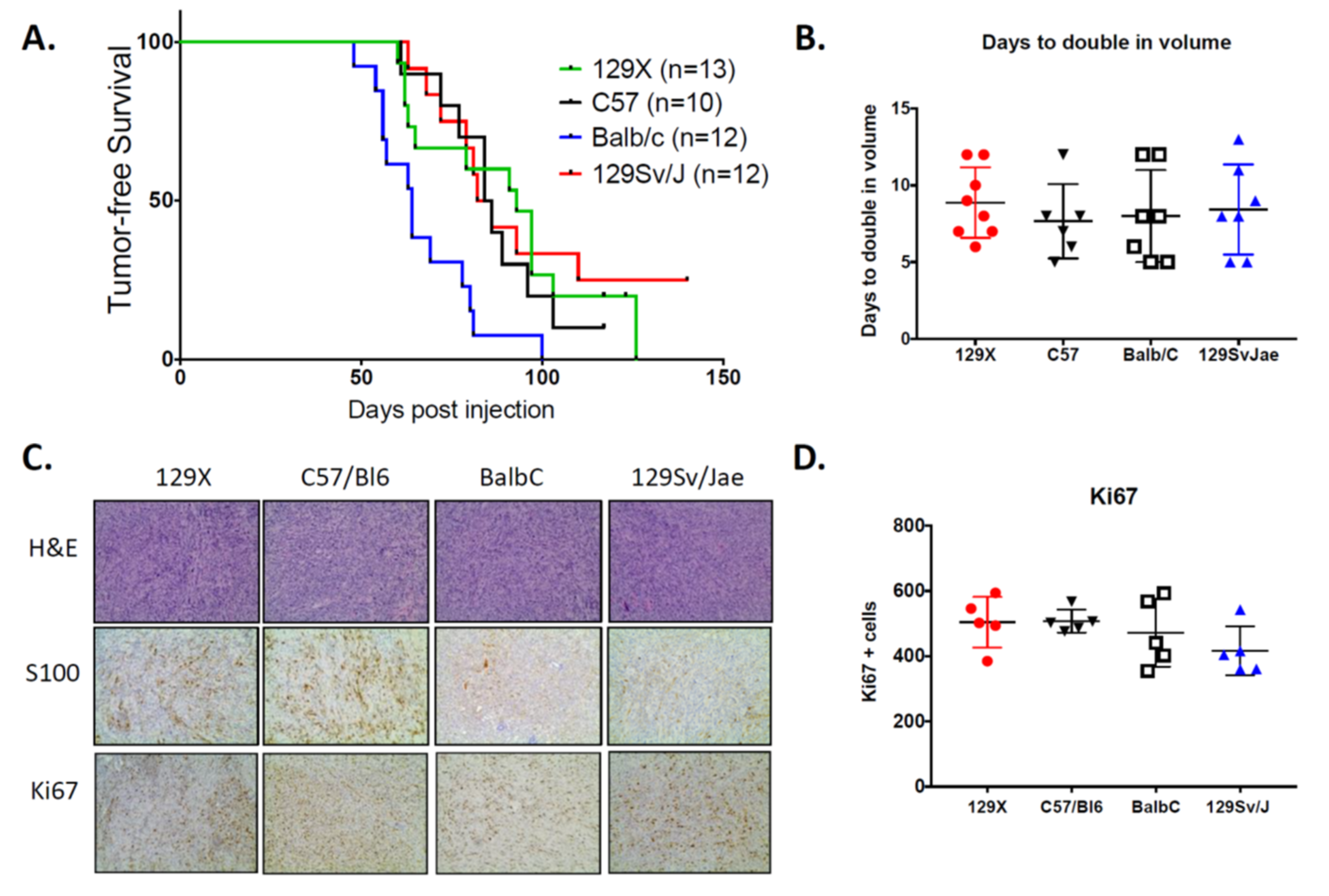 Genes 11 00583 g001 Genes 11 00583 g001