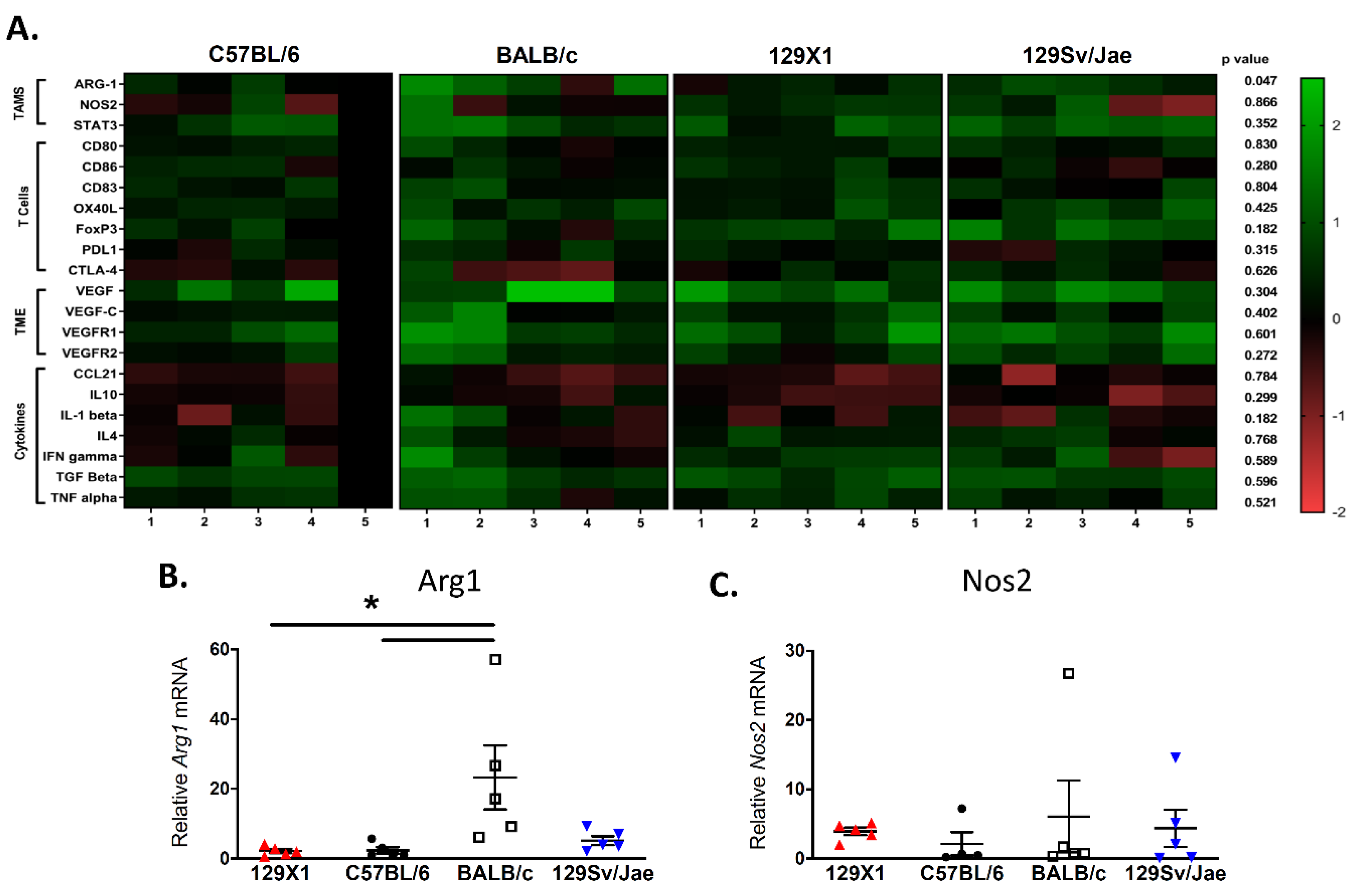 Genes 11 00583 g004 Genes 11 00583 g004