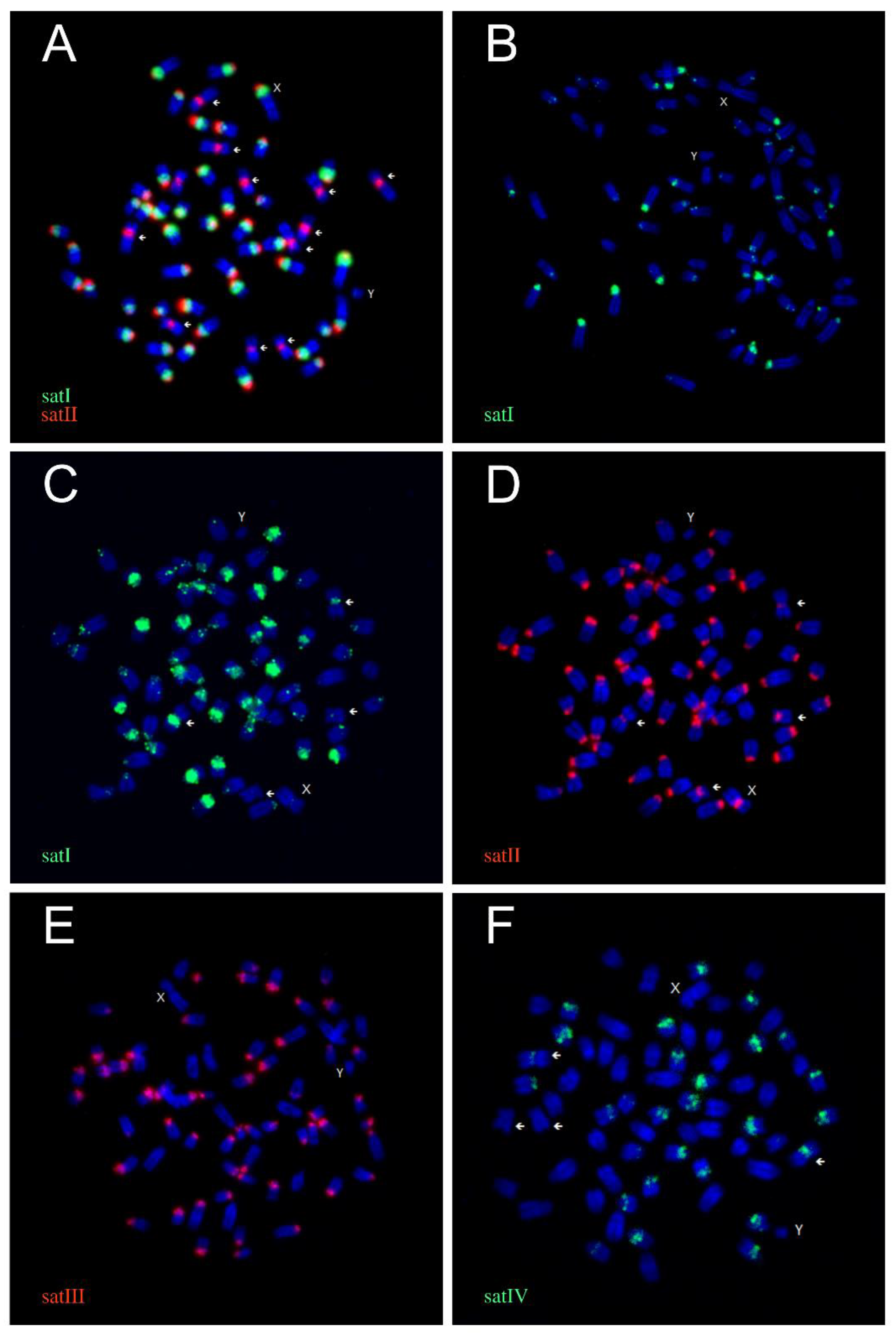 Genes 11 00584 g001 Genes 11 00584 g001