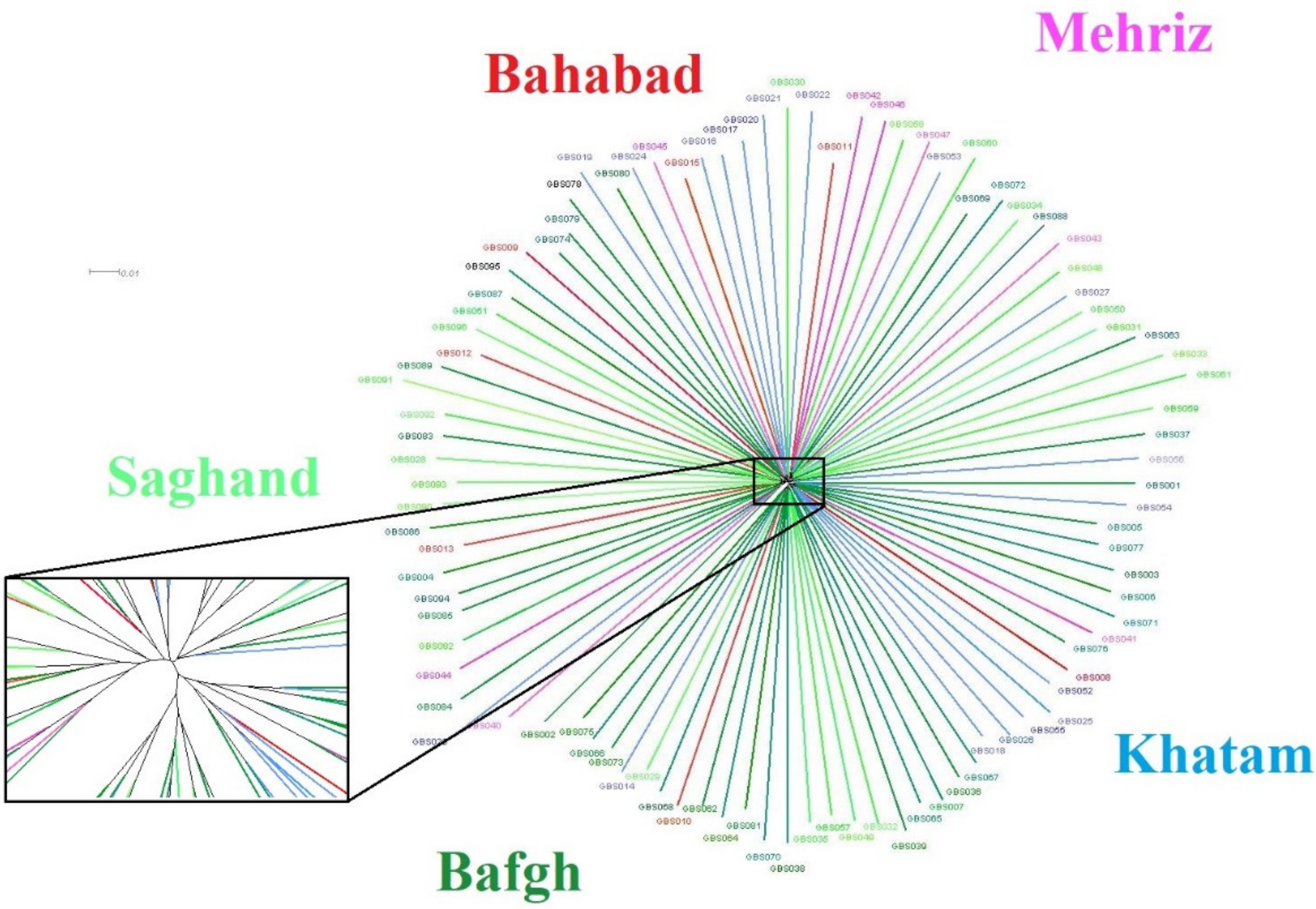 Genes 11 00599 g006 Genes 11 00599 g006