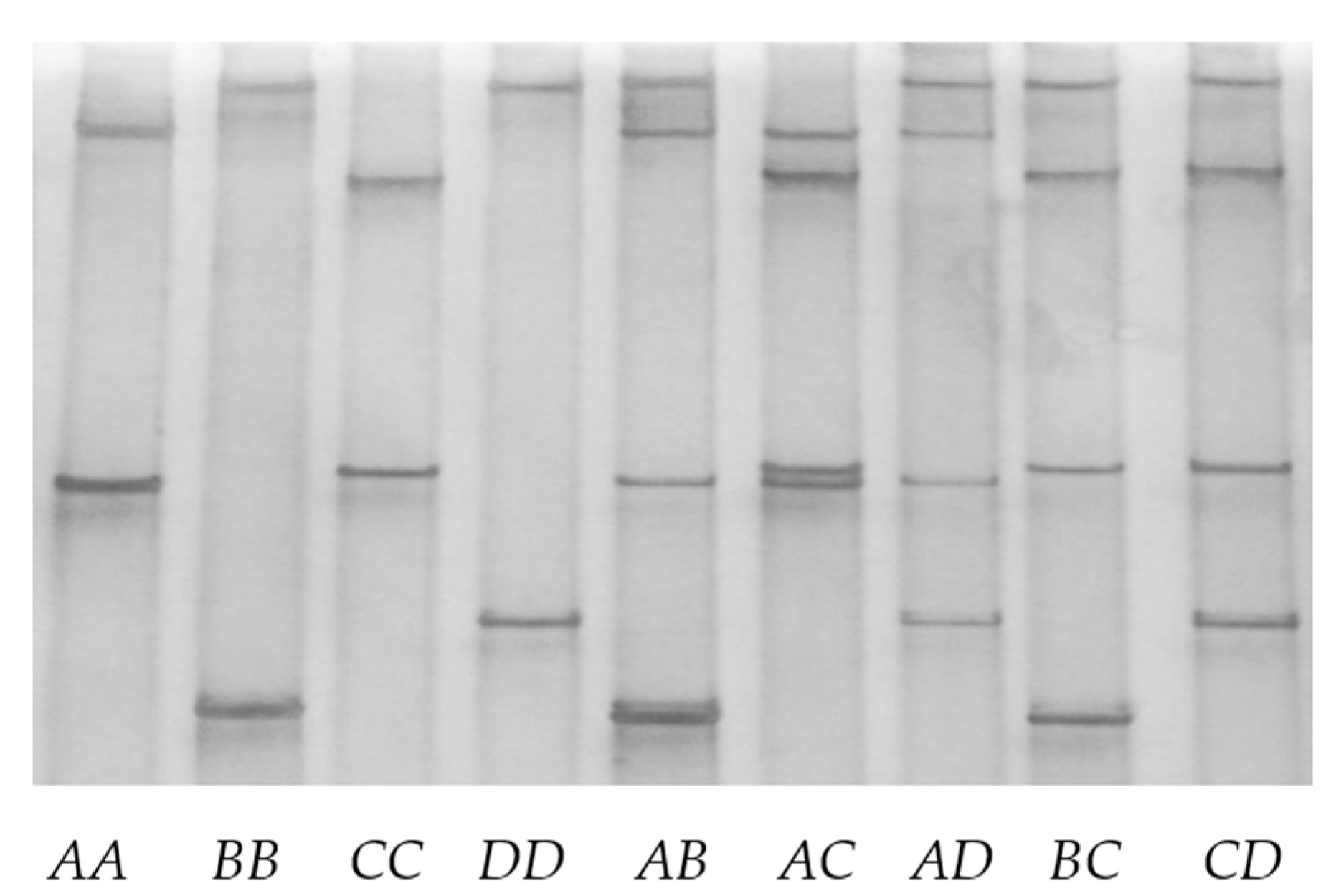 Genes 11 00604 g002 Genes 11 00604 g002