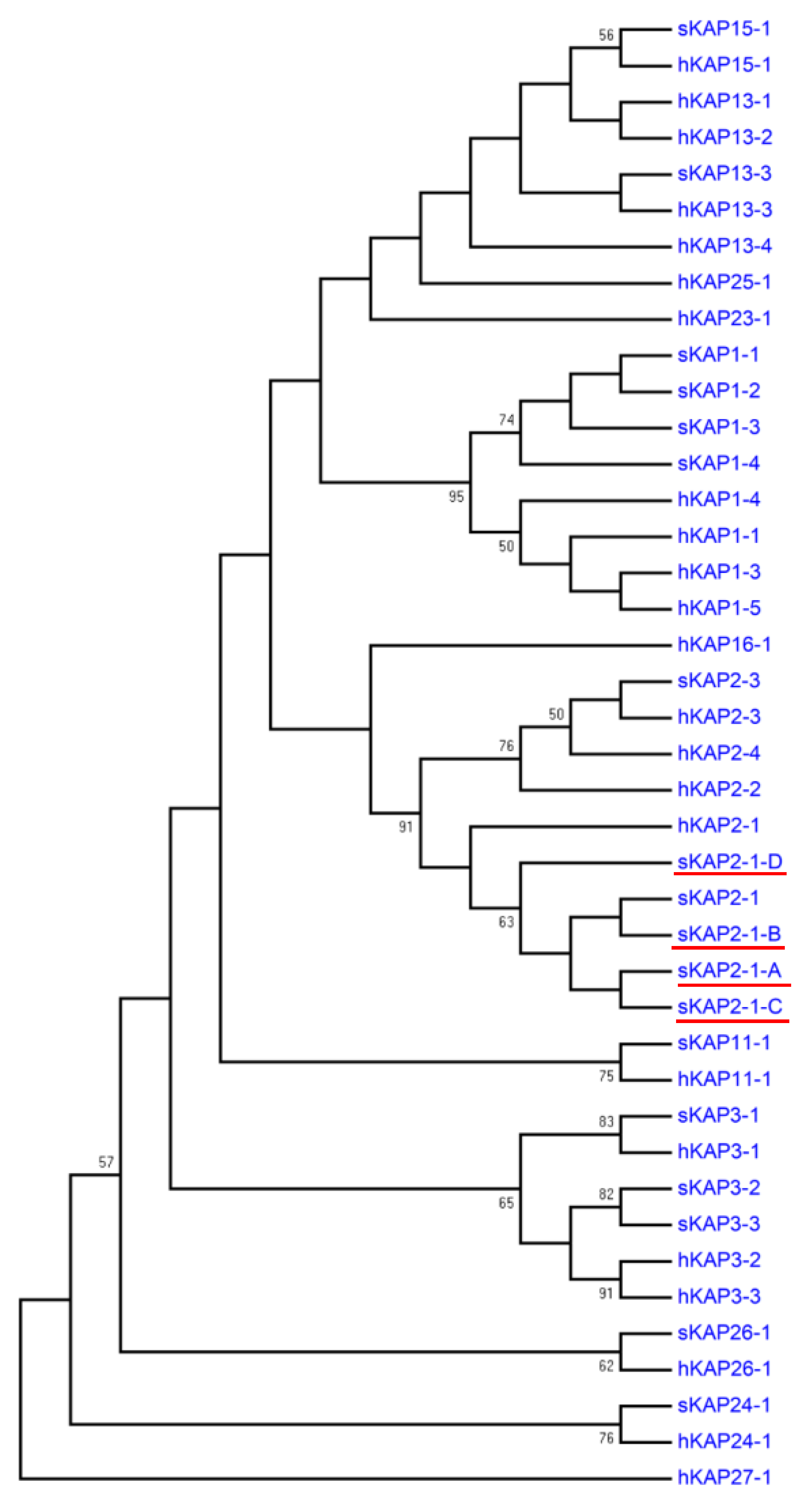 Genes 11 00604 g003 Genes 11 00604 g003