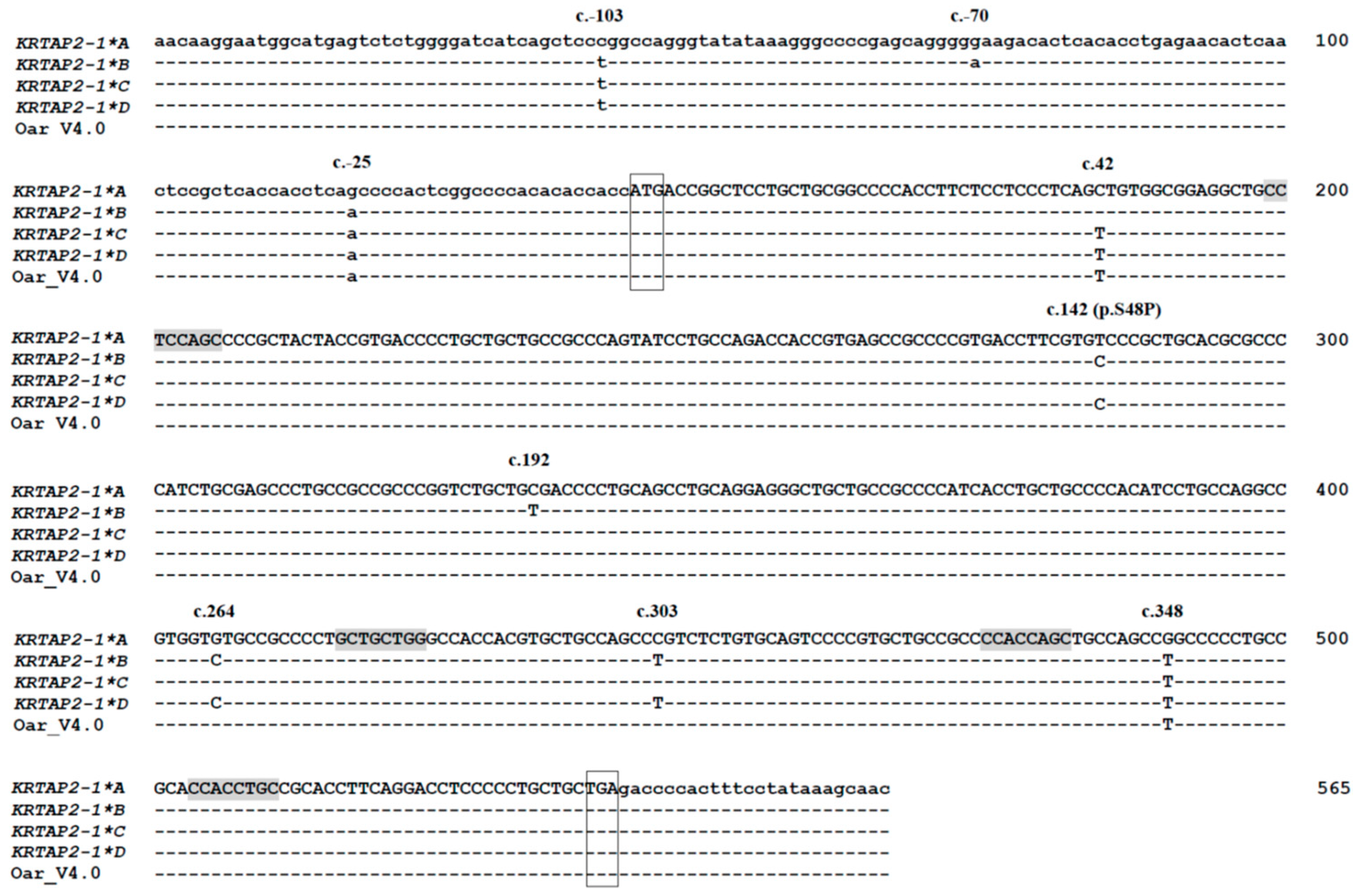 Genes 11 00604 g004 Genes 11 00604 g004
