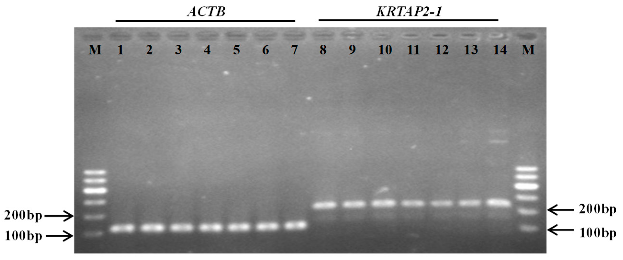 Genes 11 00604 g006 Genes 11 00604 g006