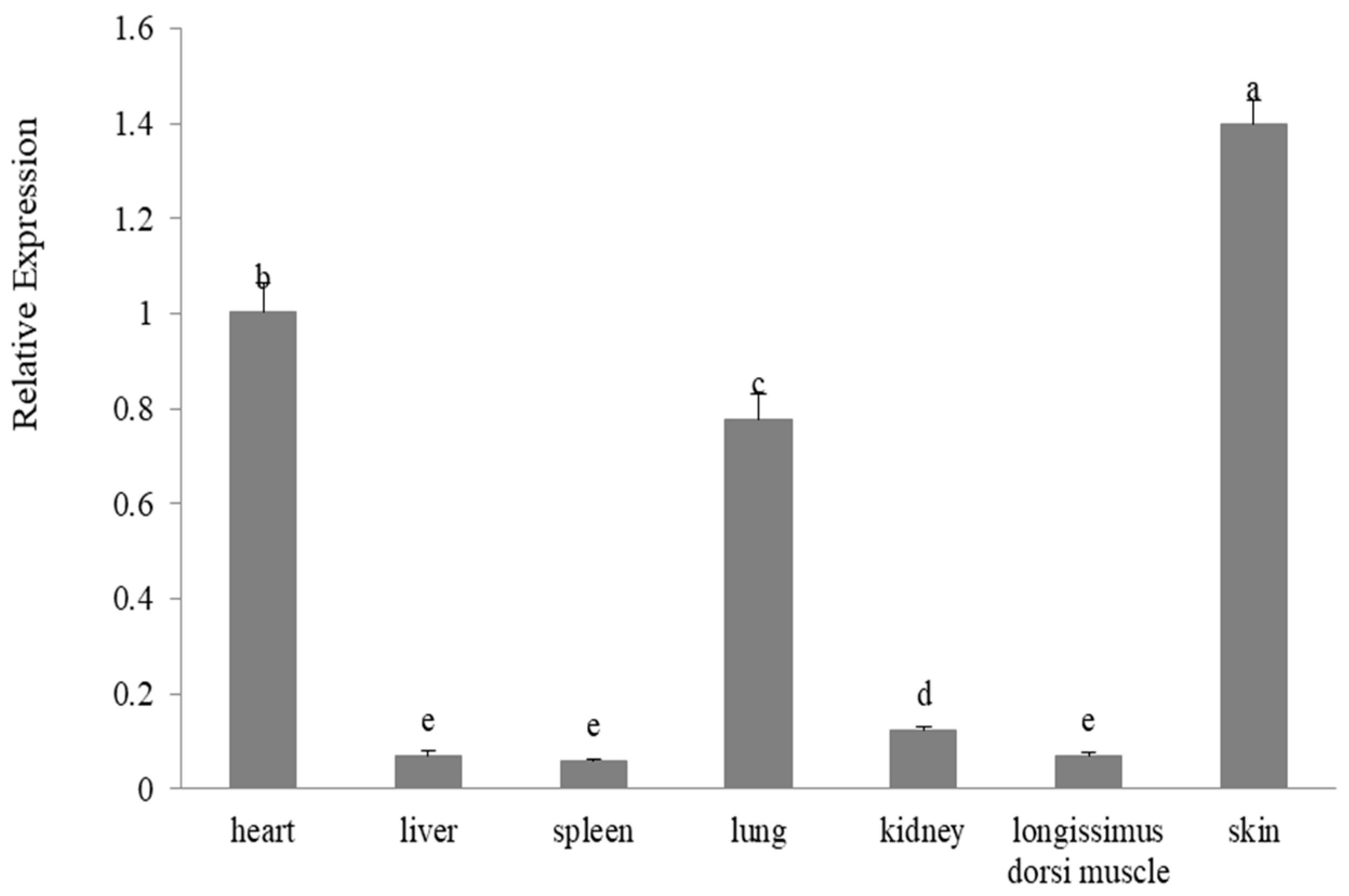 Genes 11 00604 g008 Genes 11 00604 g008