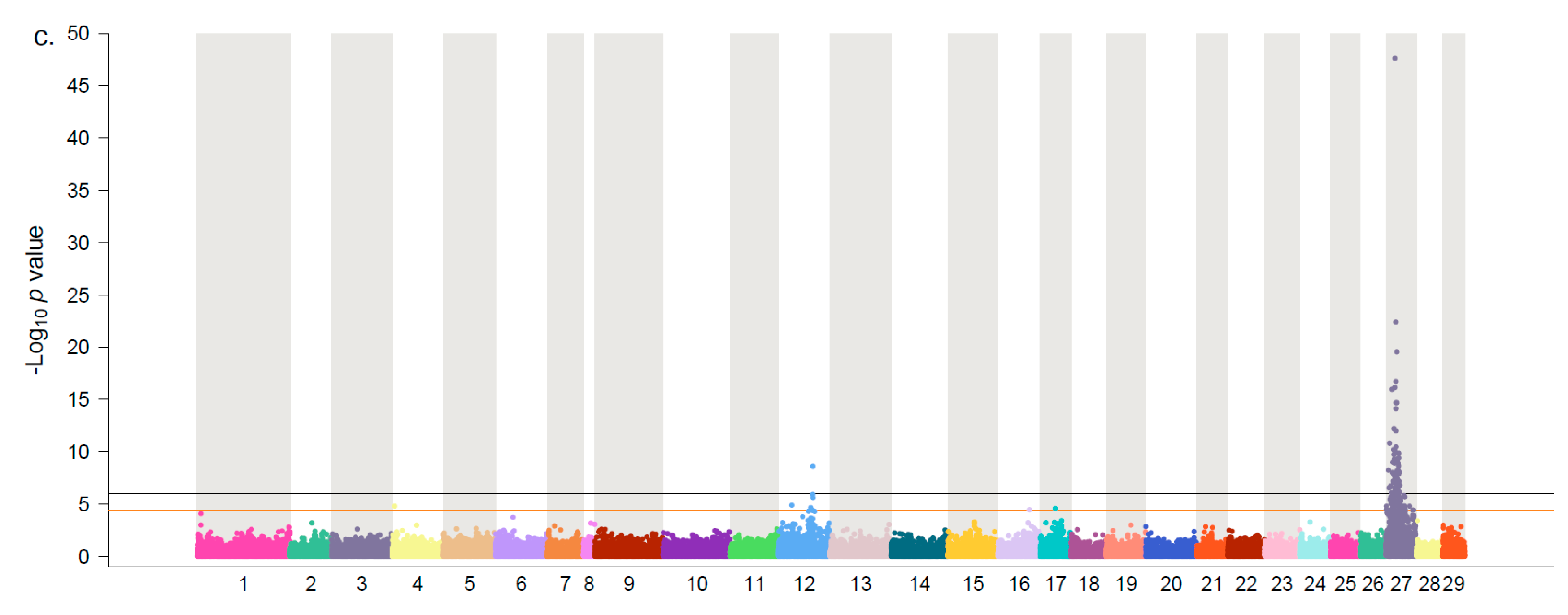 Genes 11 00608 g003b