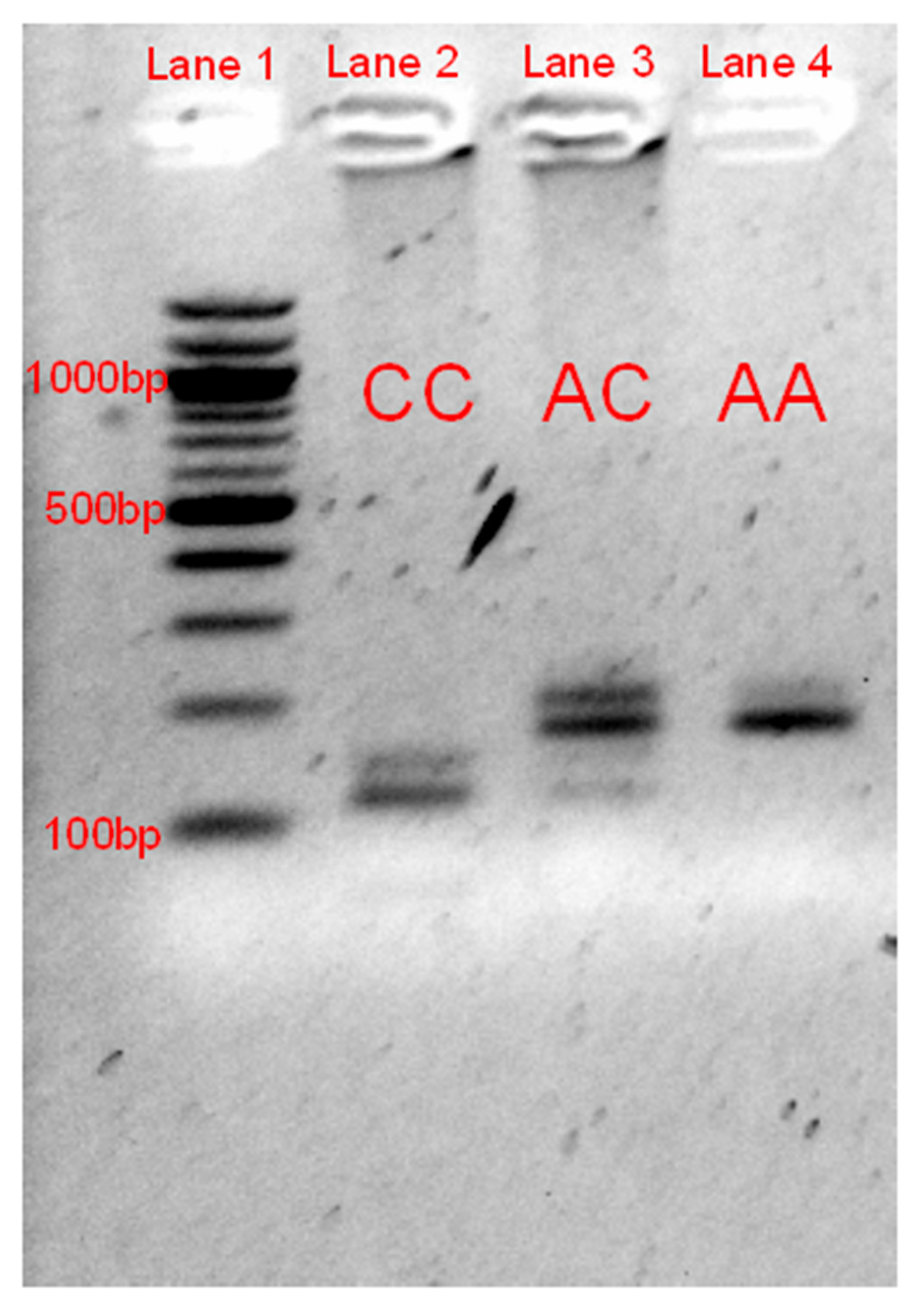 Genes 11 00618 g002 Genes 11 00618 g002