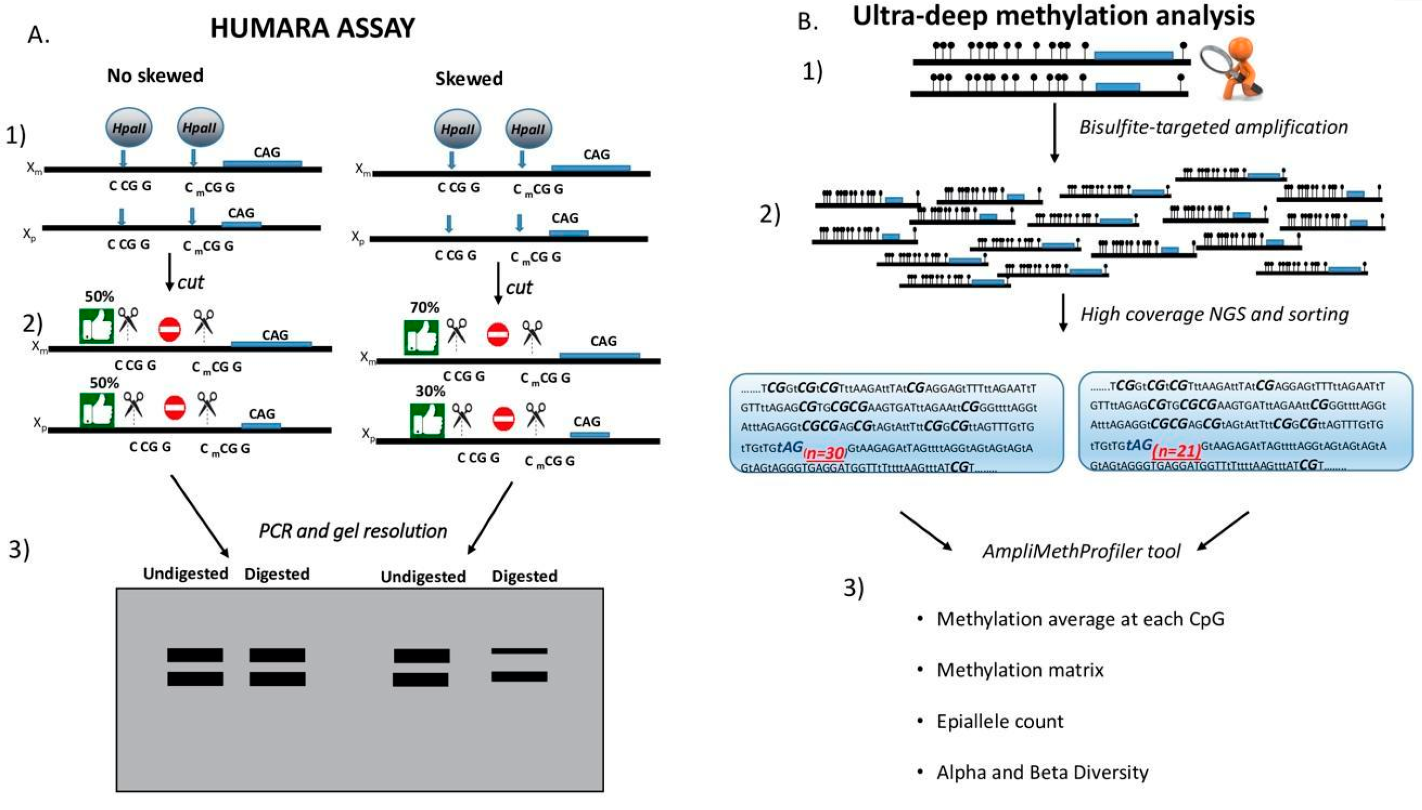 Genes 11 00620 g002