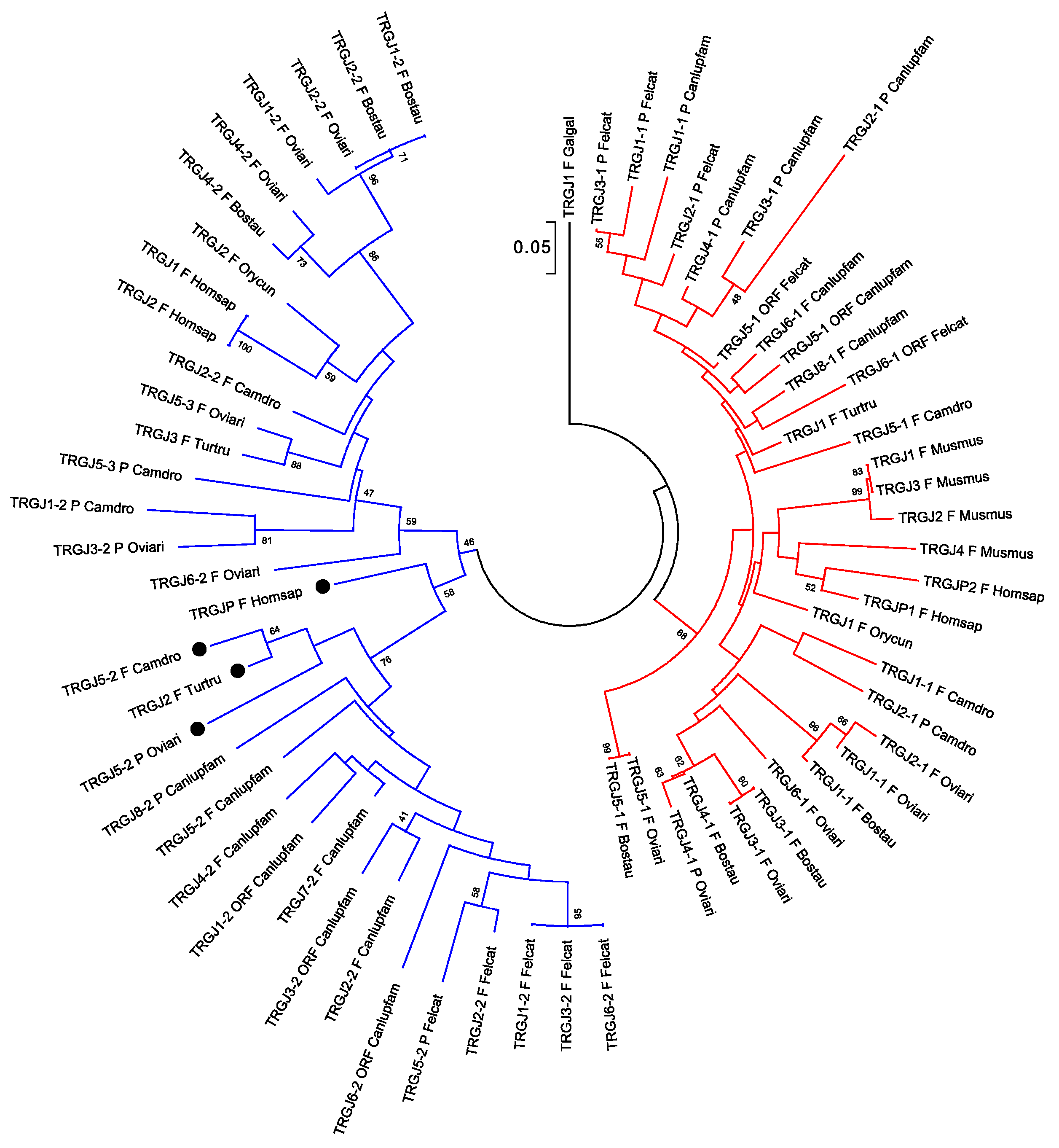 Genes 11 00624 g004 Genes 11 00624 g004