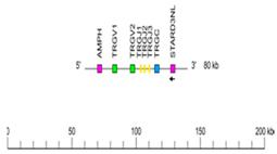 Genes 11 00624 i010 Genes 11 00624 i010