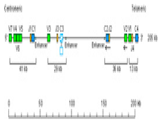 Genes 11 00624 i013 Genes 11 00624 i013
