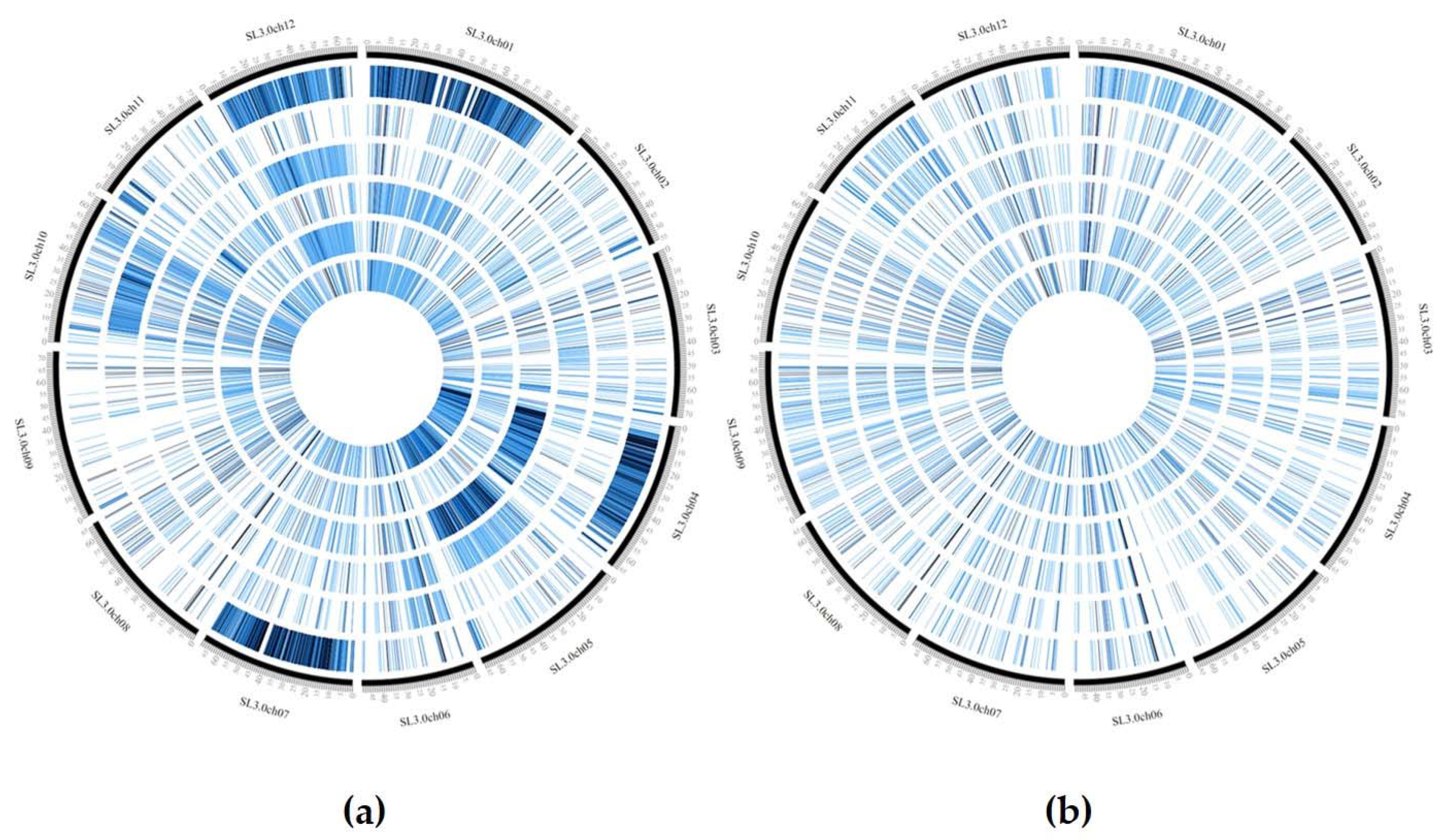 Genes 11 00626 g004 Genes 11 00626 g004