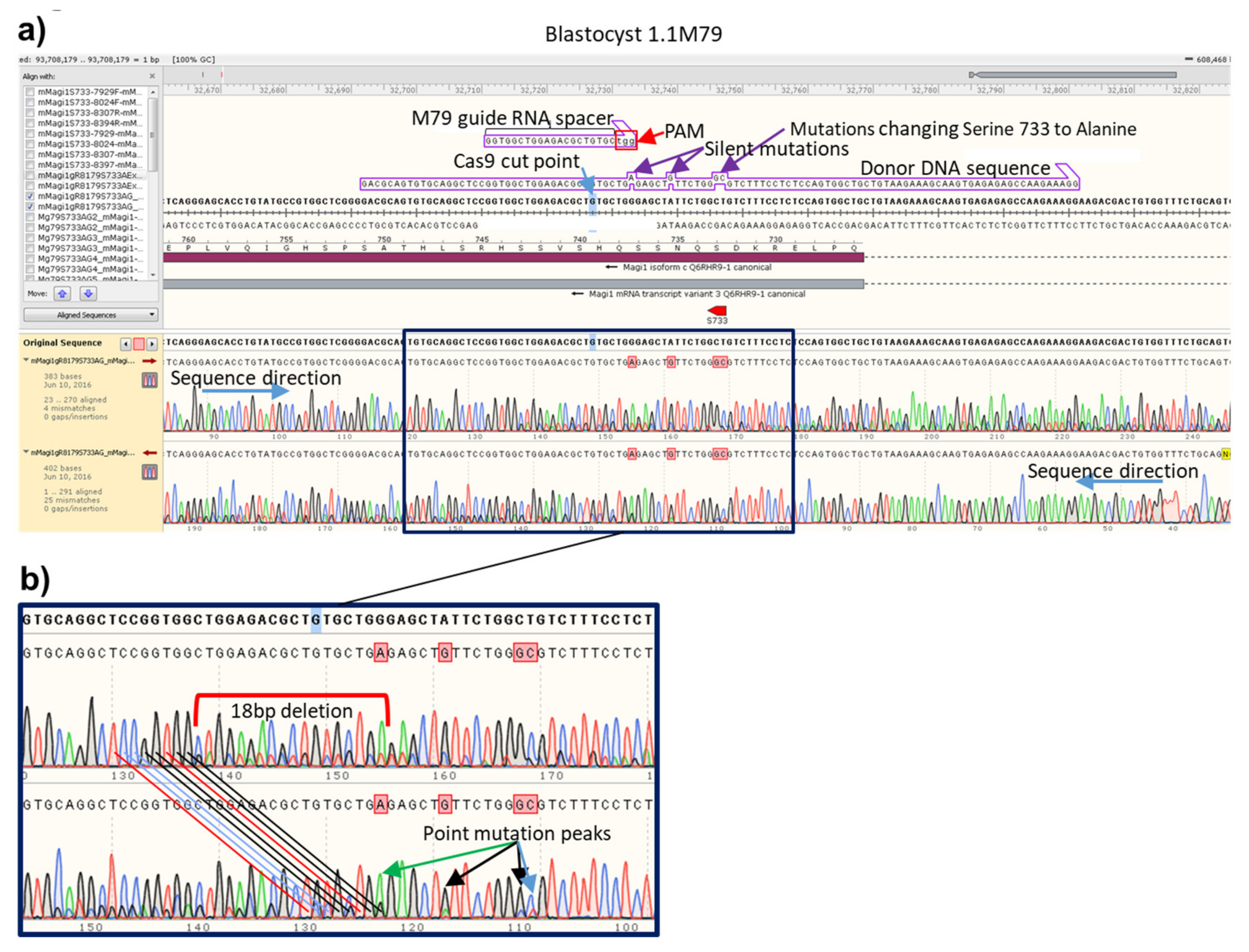 Genes 11 00628 g003 Genes 11 00628 g003