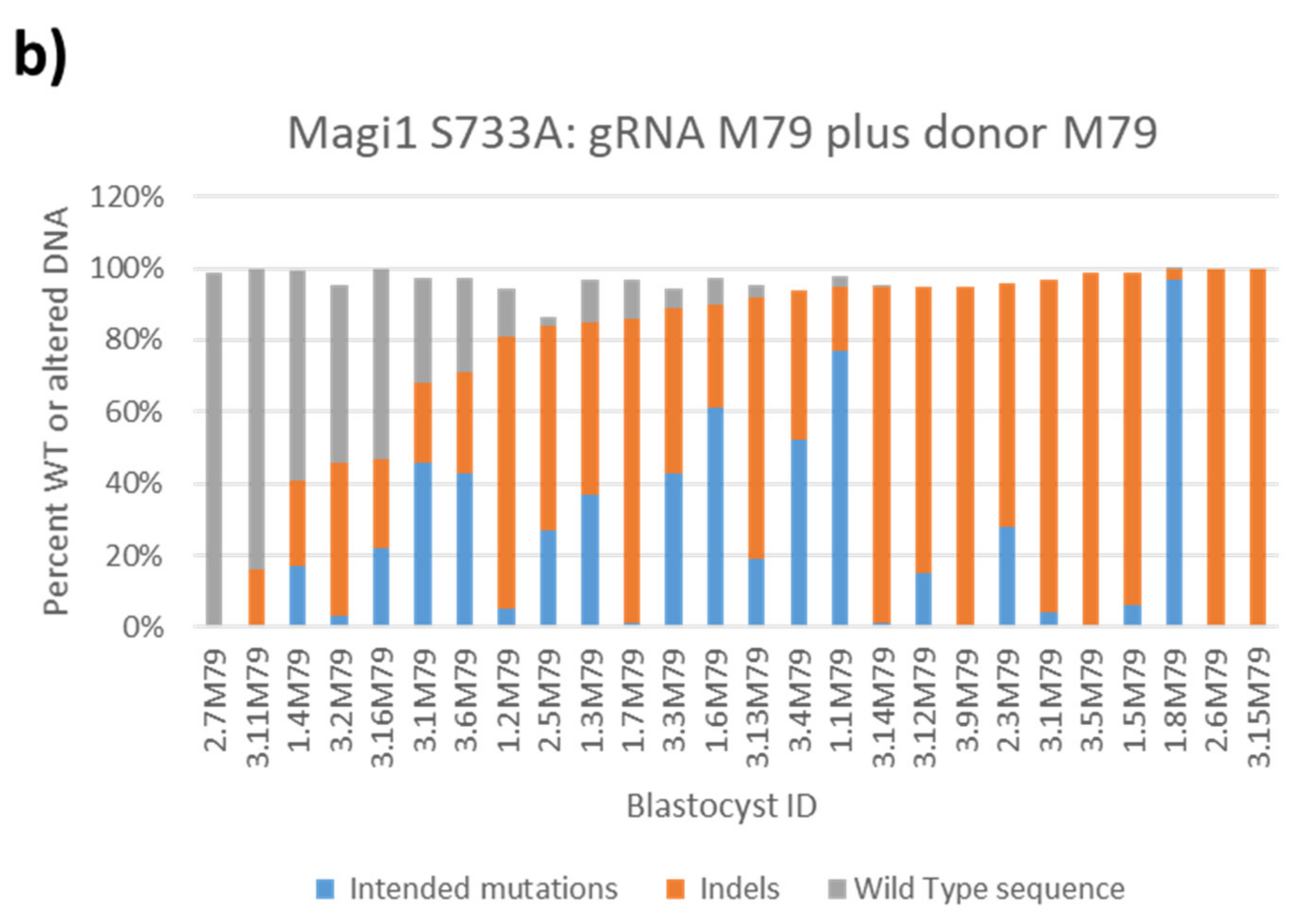 Genes 11 00628 g004b Genes 11 00628 g004b