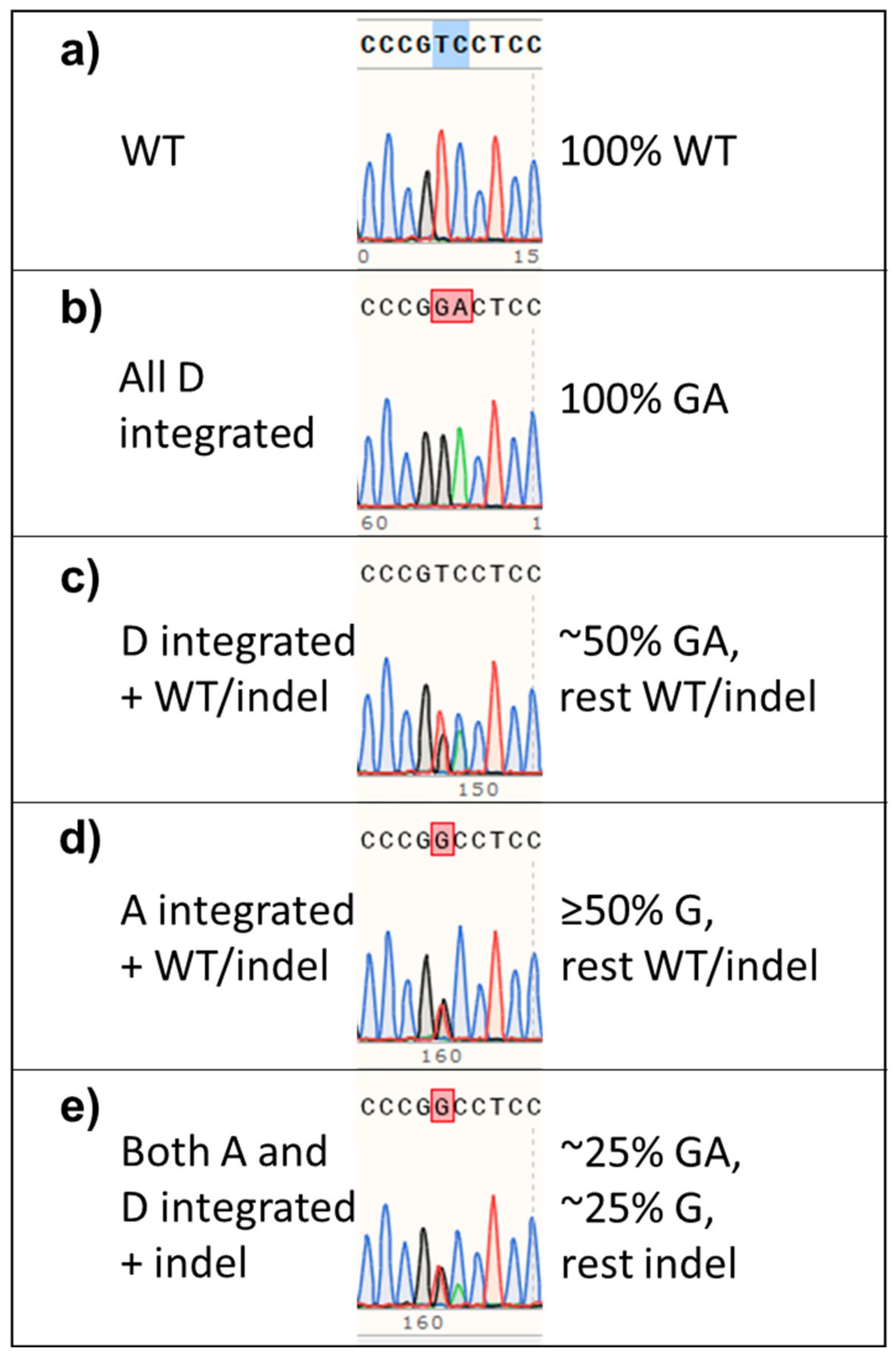 Genes 11 00628 g007 Genes 11 00628 g007