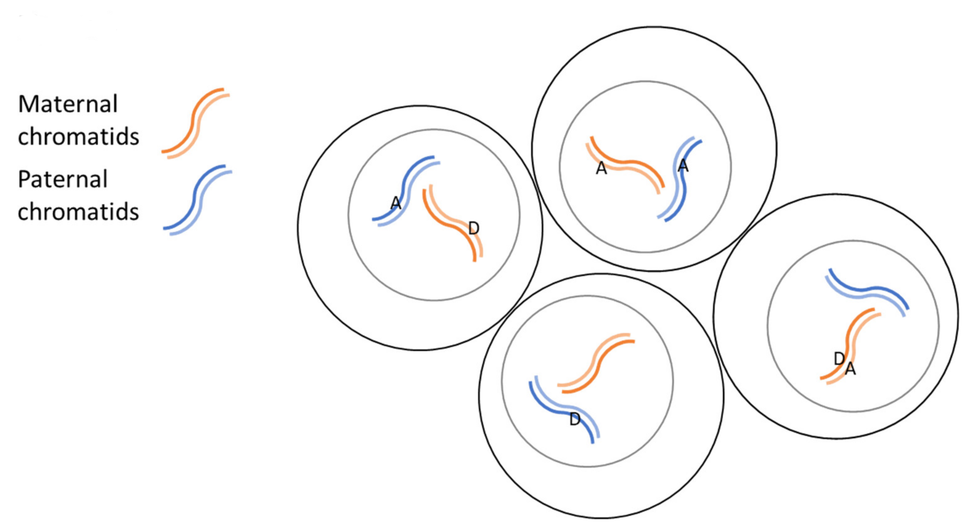 Genes 11 00628 g008 Genes 11 00628 g008