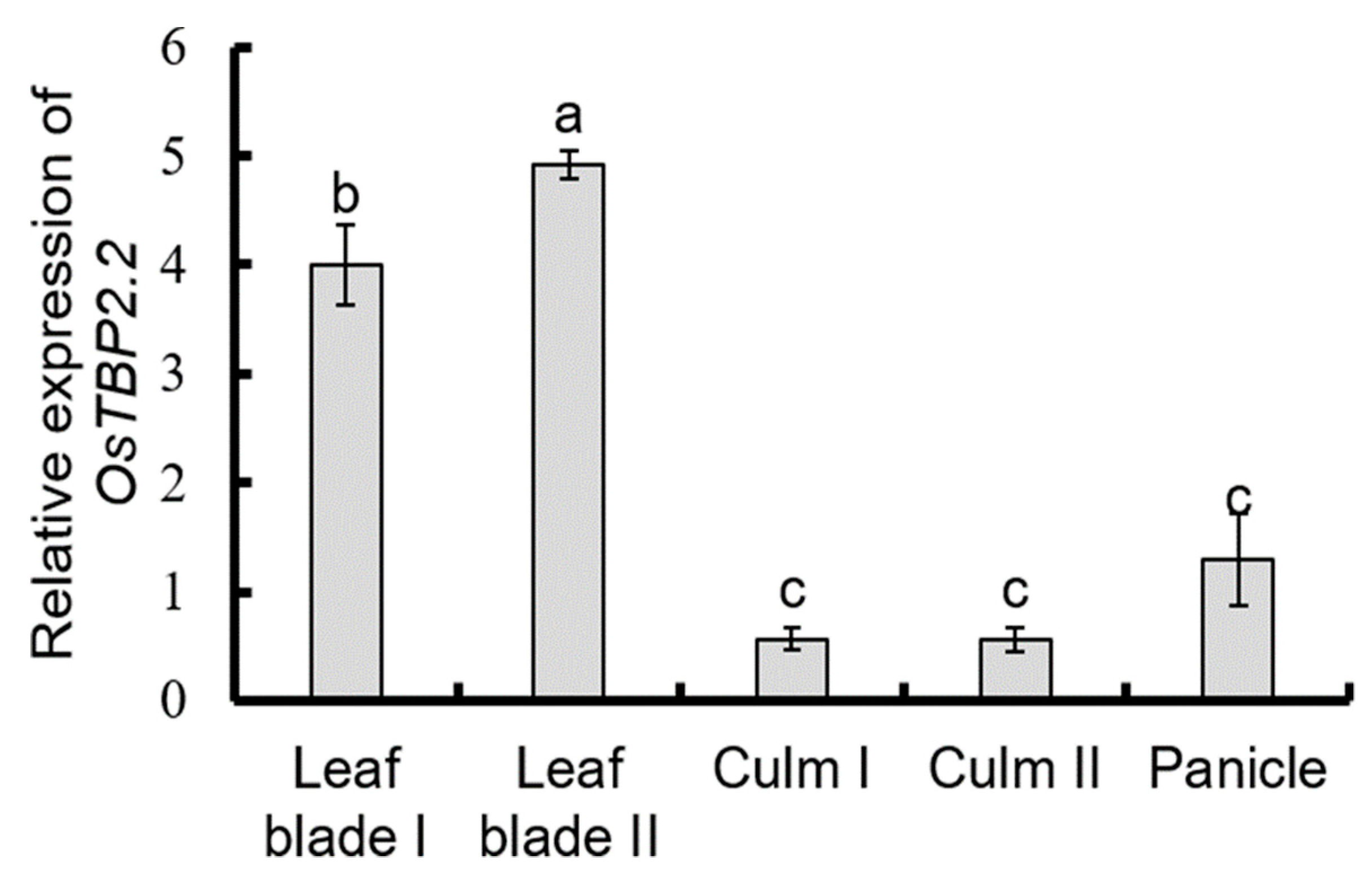 Genes 11 00629 g001 Genes 11 00629 g001
