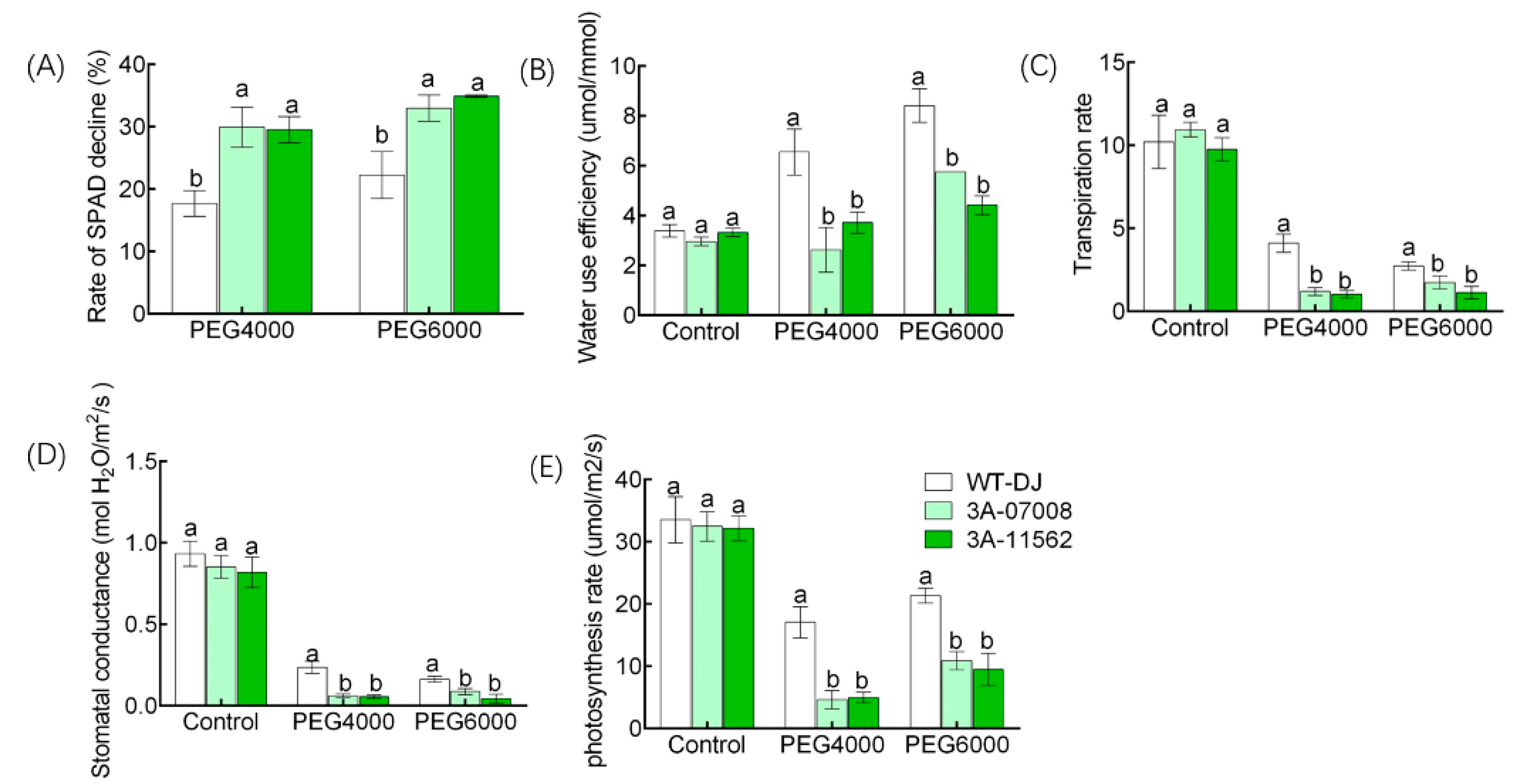 Genes 11 00629 g006 Genes 11 00629 g006