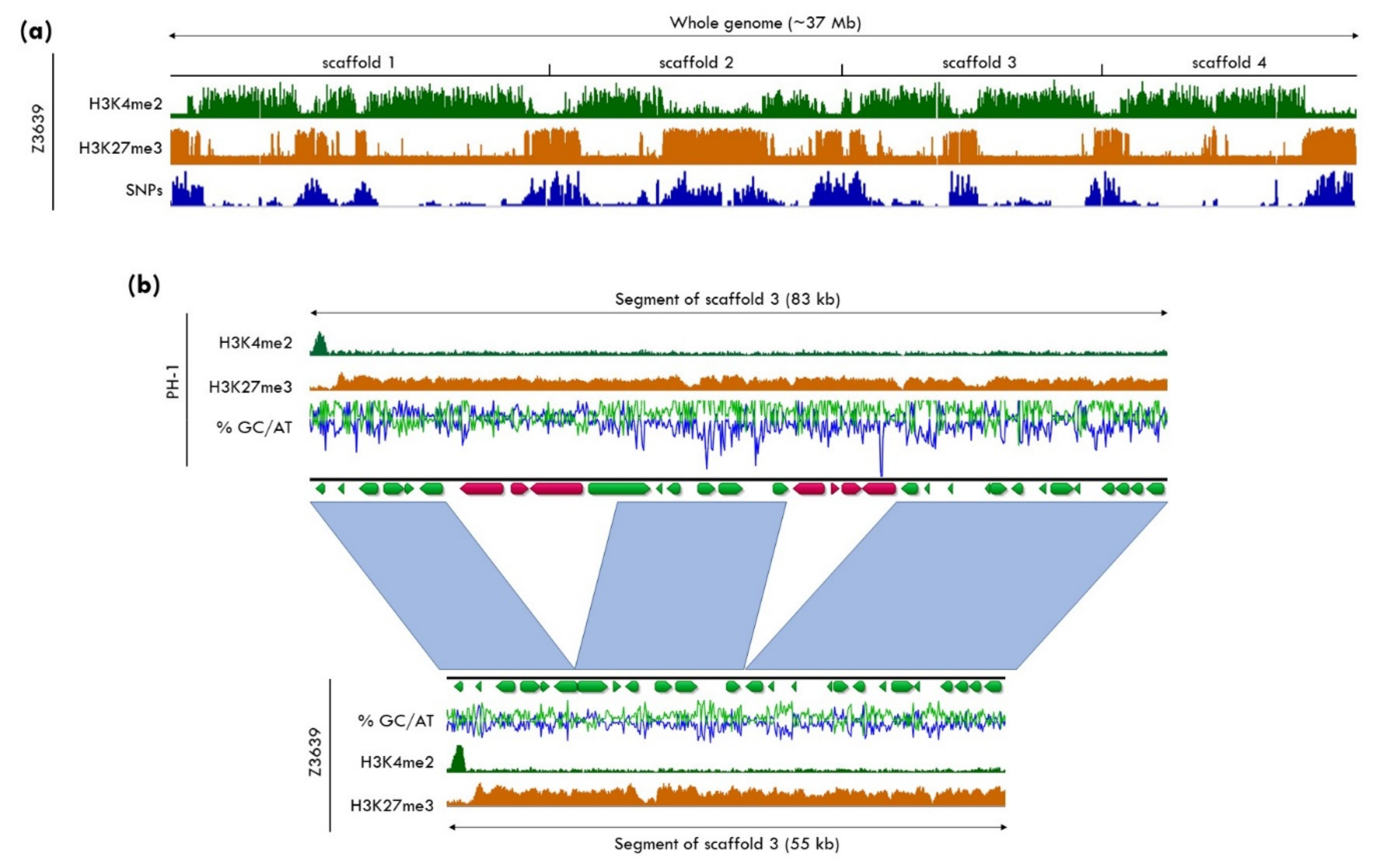 Genes 11 00638 g003