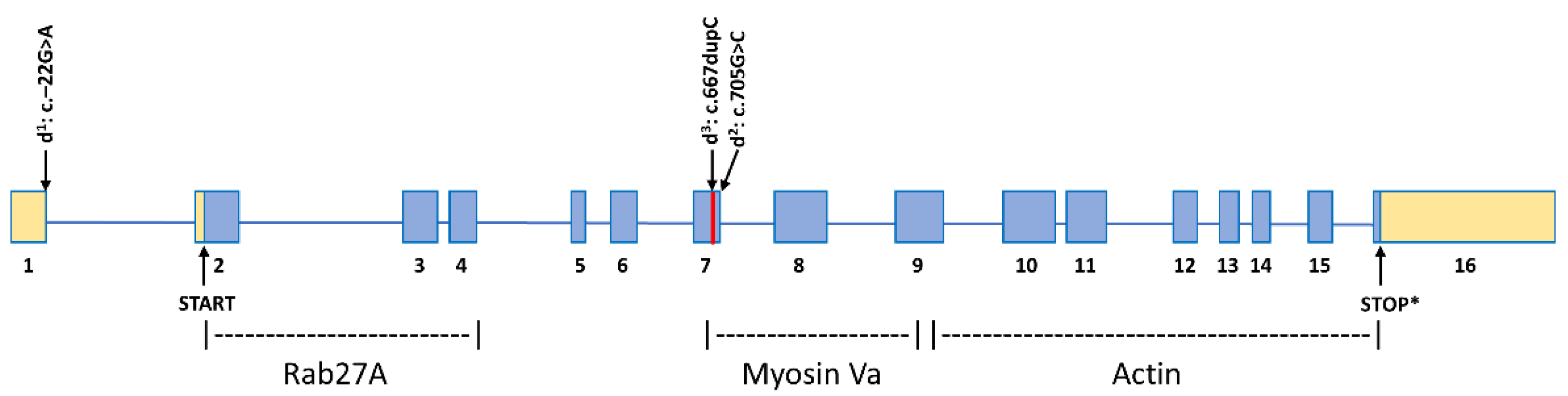Genes 11 00639 g005 Genes 11 00639 g005
