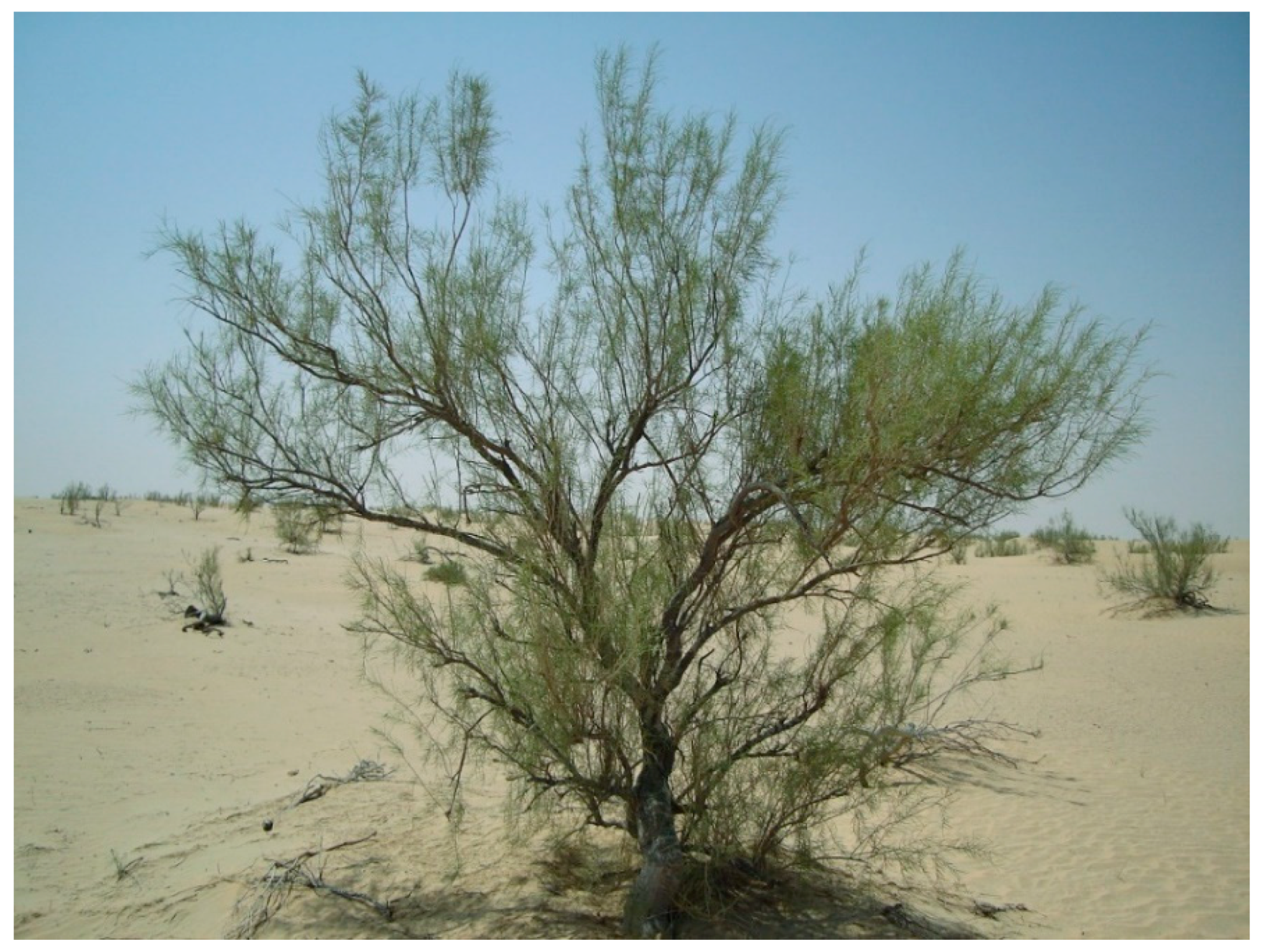 Genes 11 00640 g001 Genes 11 00640 g001