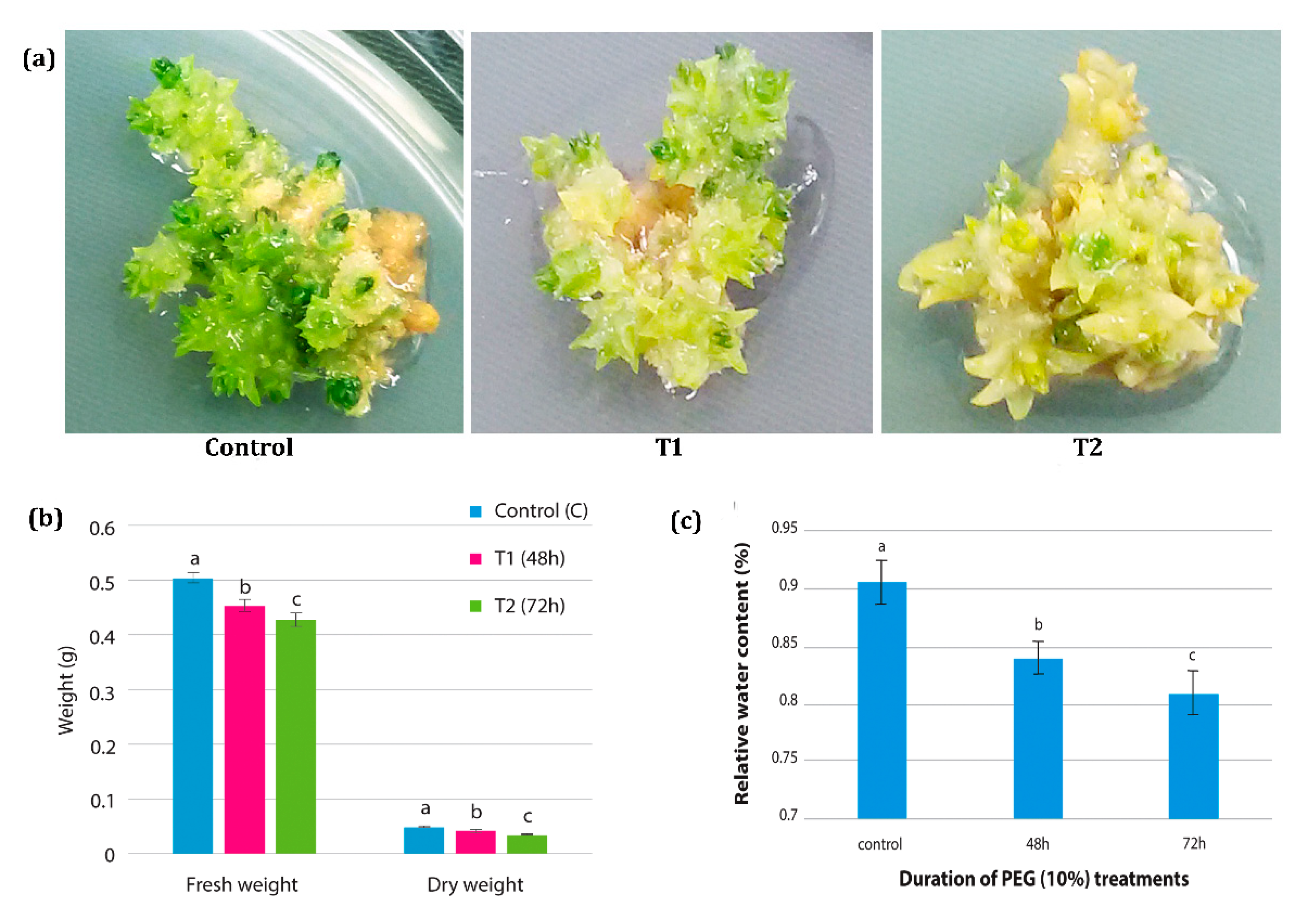 Genes 11 00640 g002 Genes 11 00640 g002