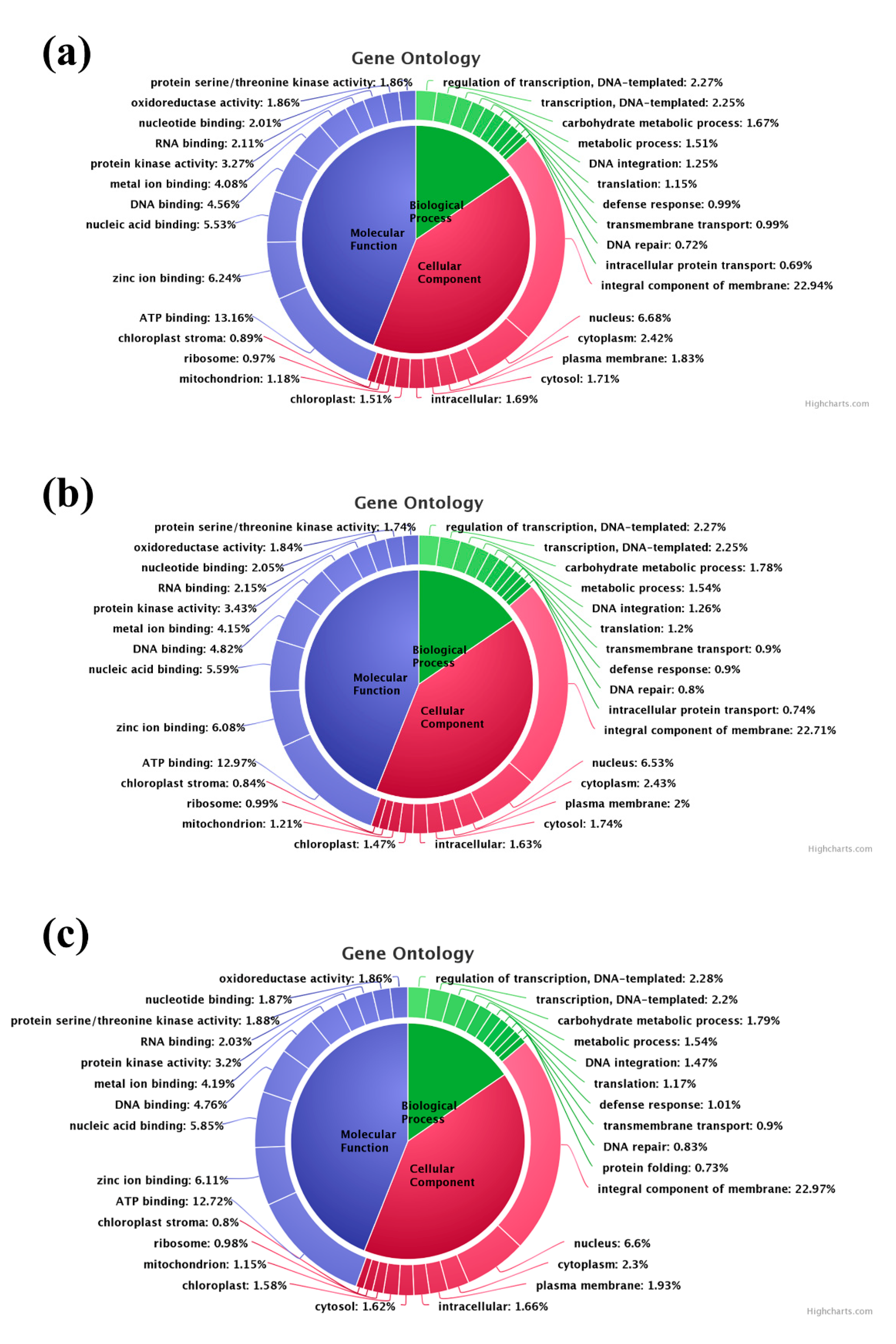 Genes 11 00640 g005 Genes 11 00640 g005