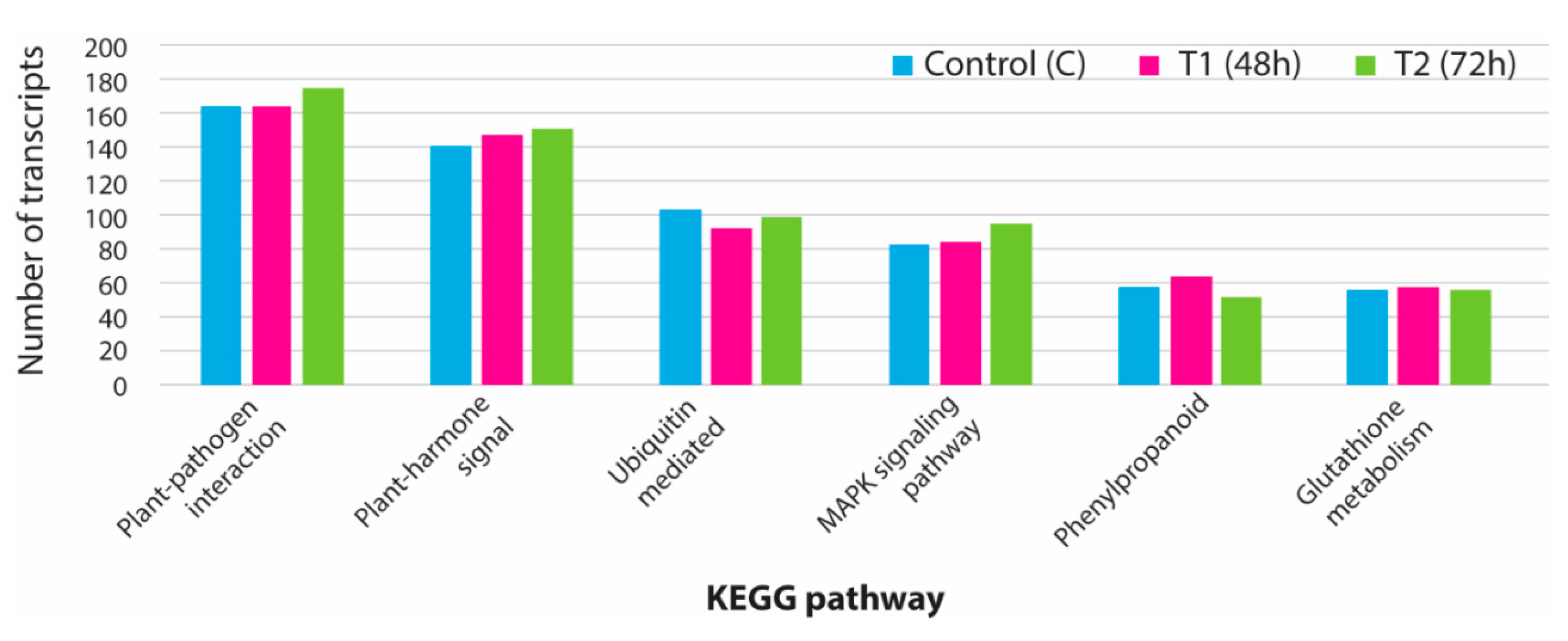 Genes 11 00640 g007 Genes 11 00640 g007