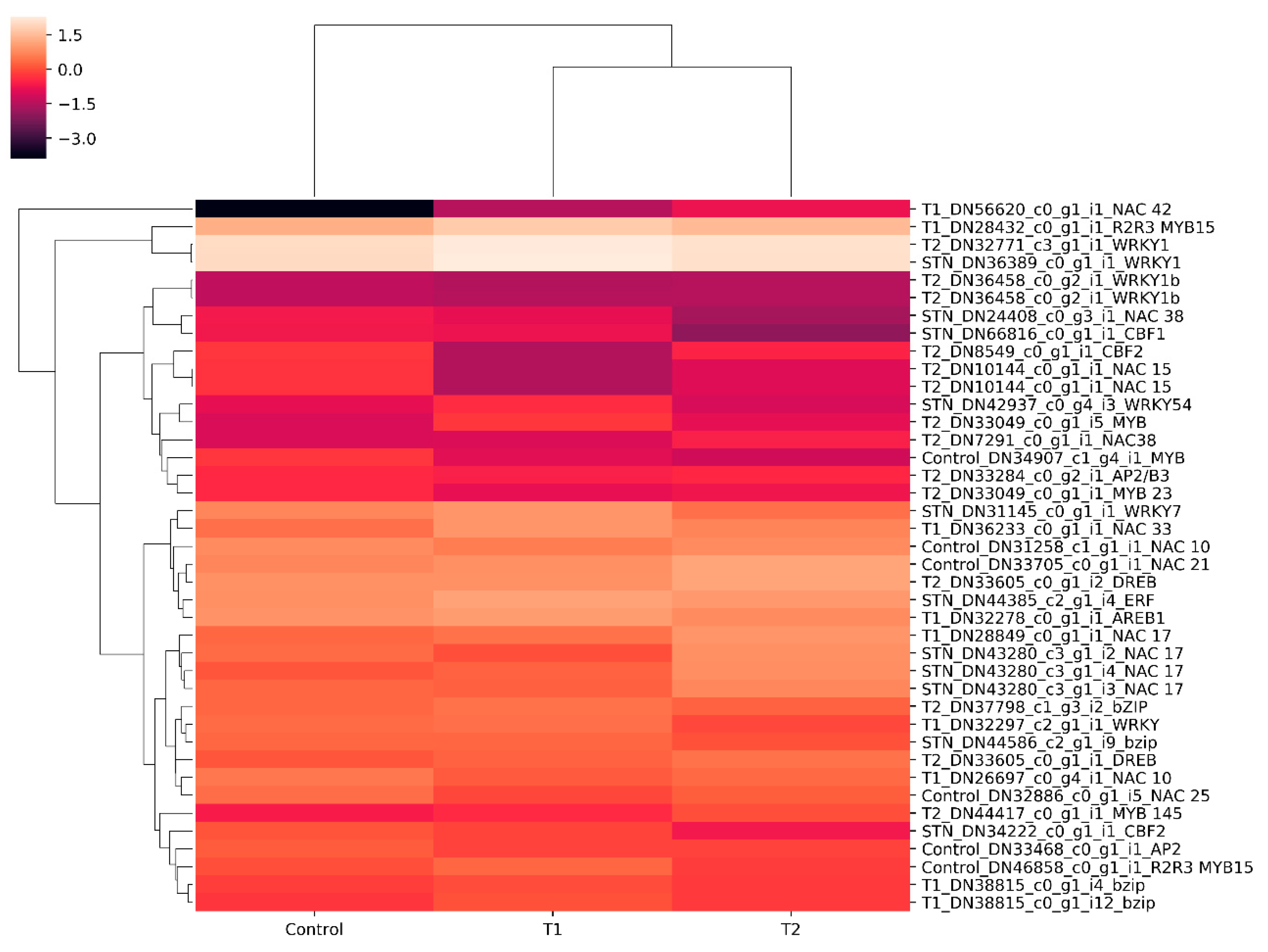 Genes 11 00640 g010 Genes 11 00640 g010