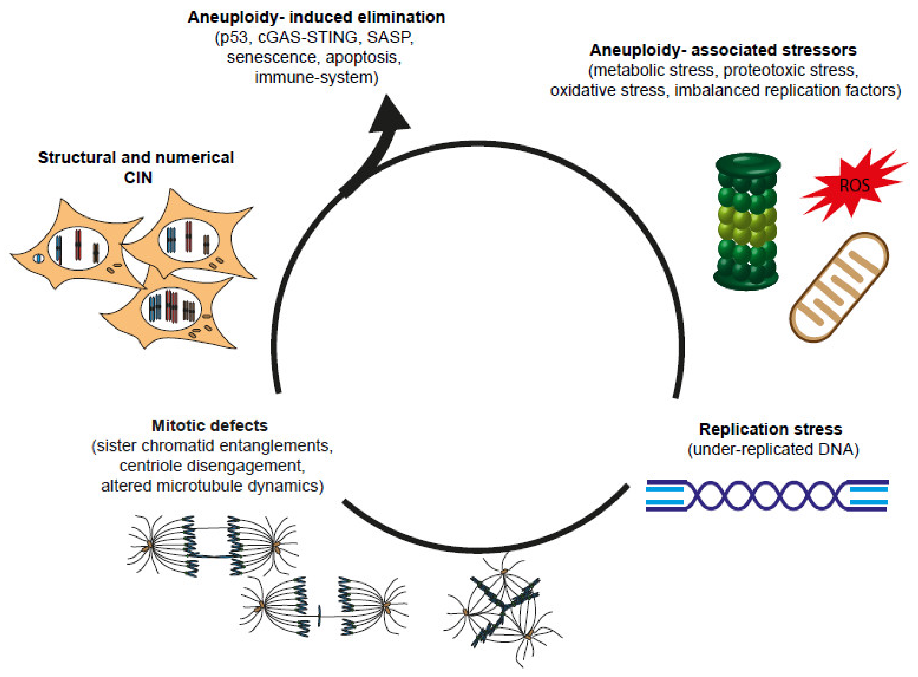 Genes 11 00642 g003 Genes 11 00642 g003