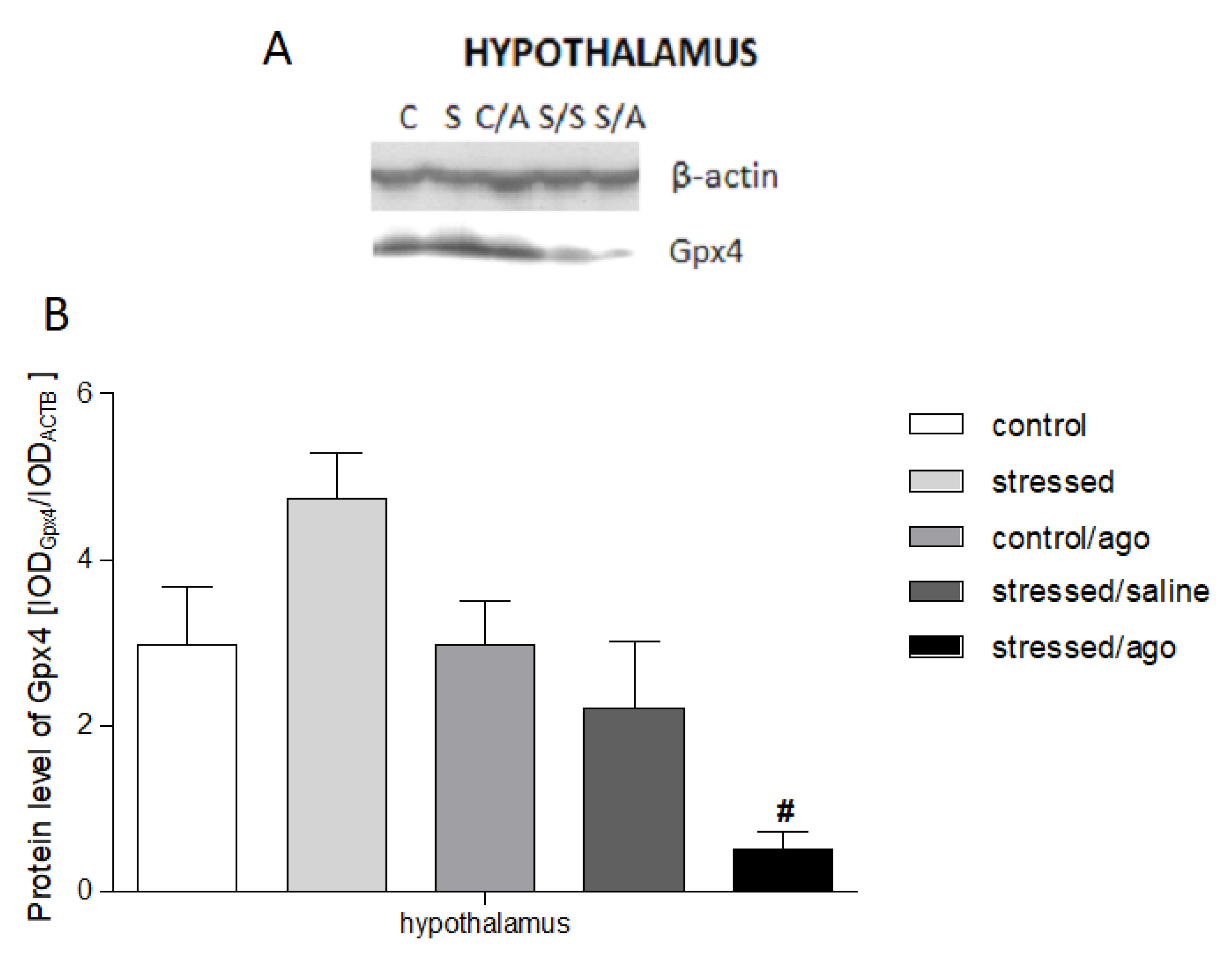 Genes 11 00644 g005 Genes 11 00644 g005