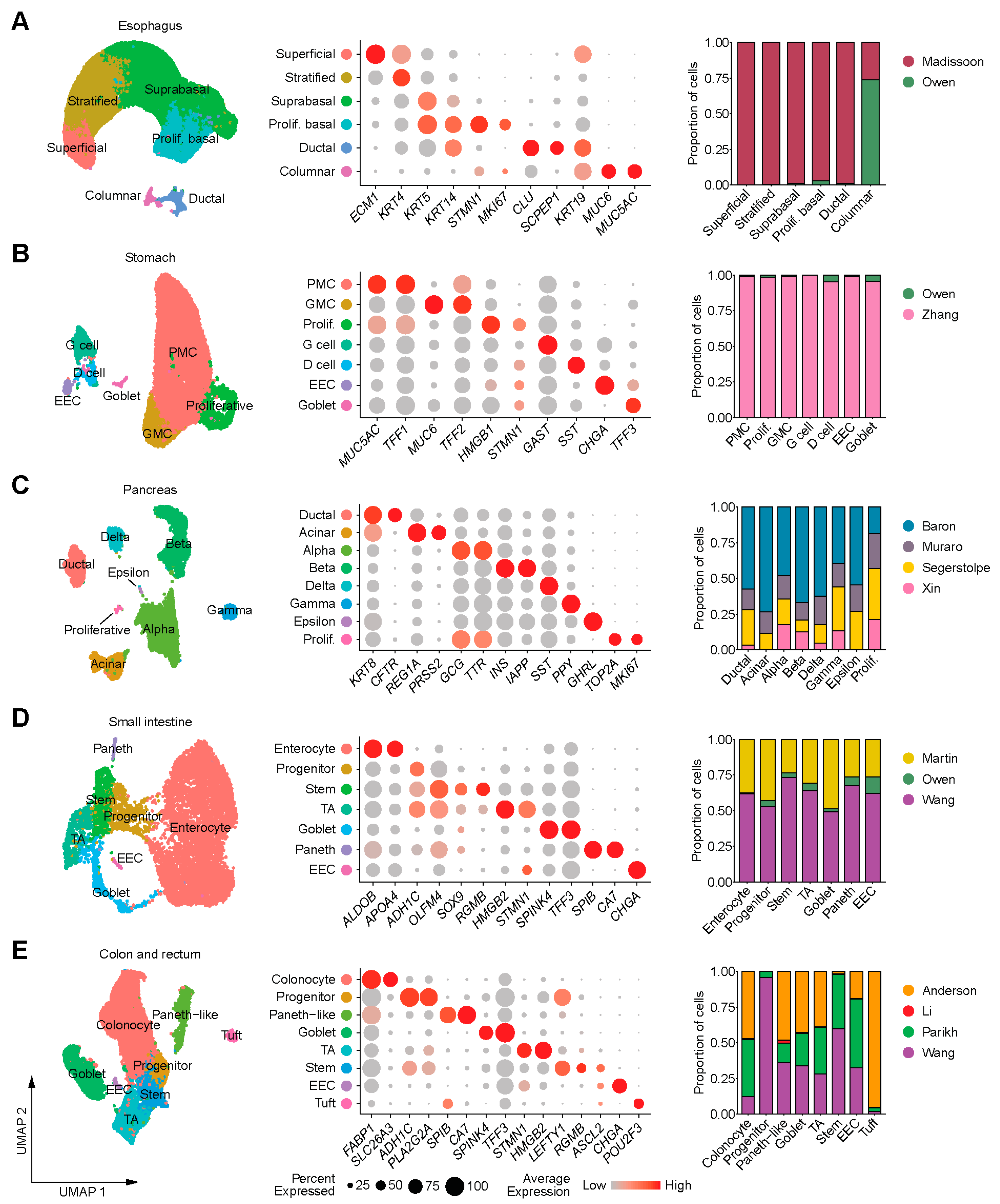 Genes 11 00645 g001