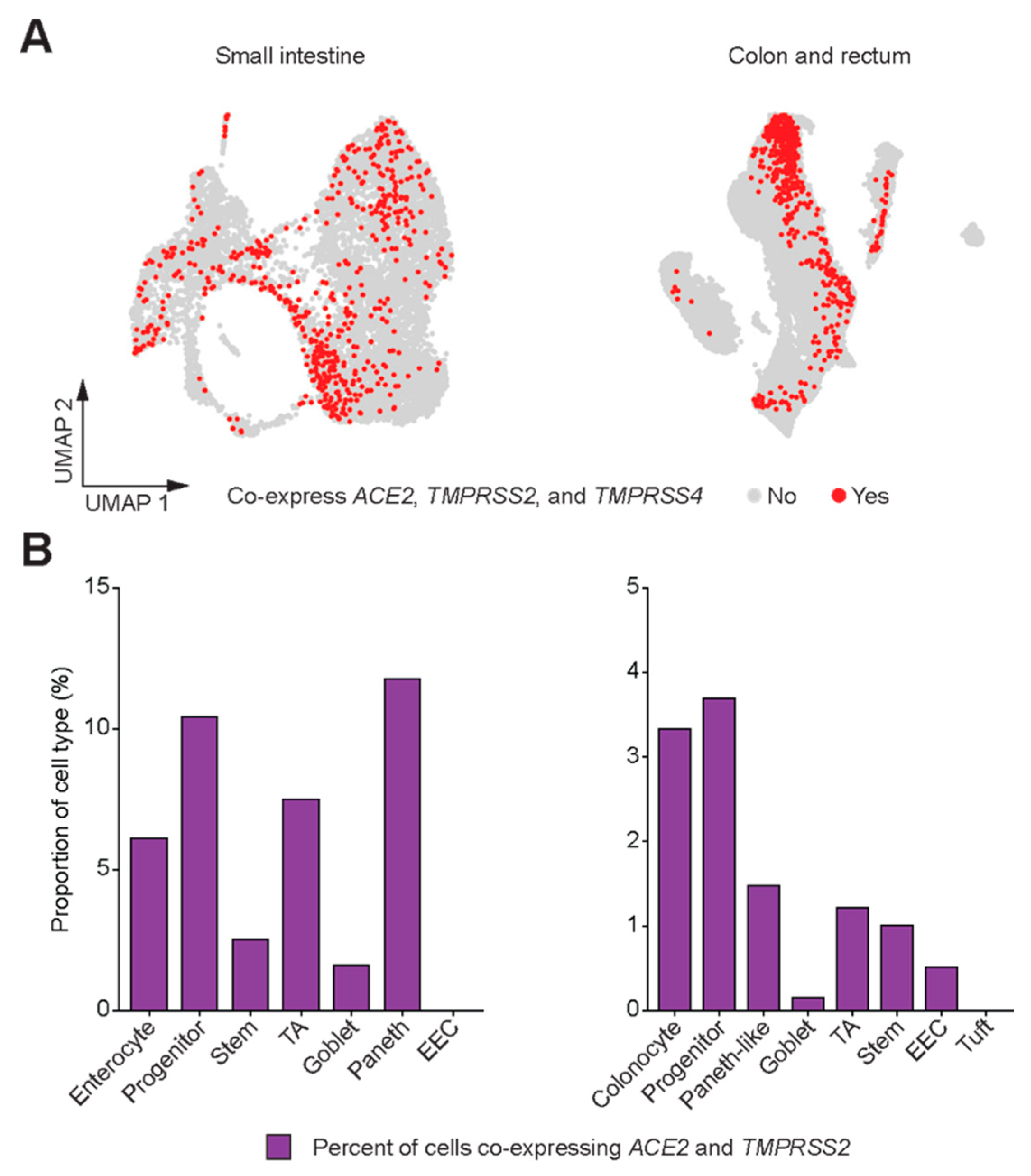 Genes 11 00645 g003