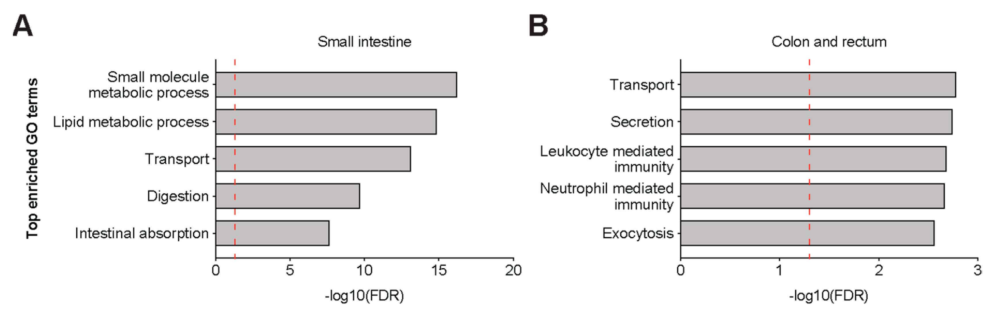 Genes 11 00645 g004