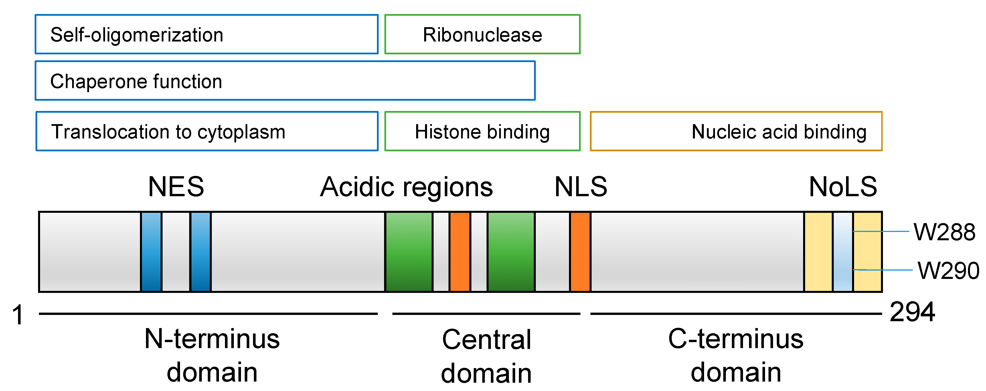 Targeting of epigenetic co-dependencies enhances anti-AML efficacy of Menin  inhibitor in AML with MLL1-r or mutant NPM1