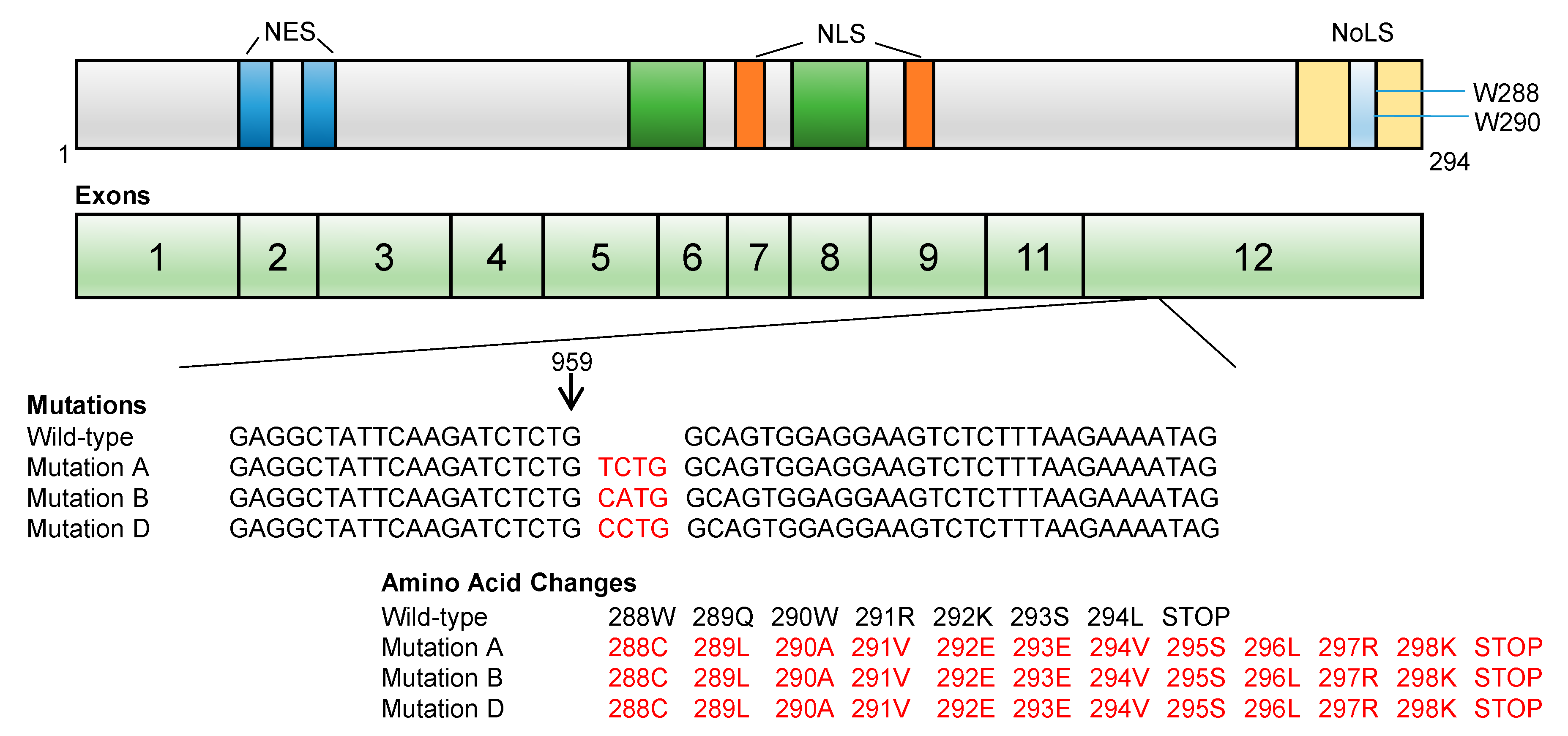 Genes 11 00649 g002