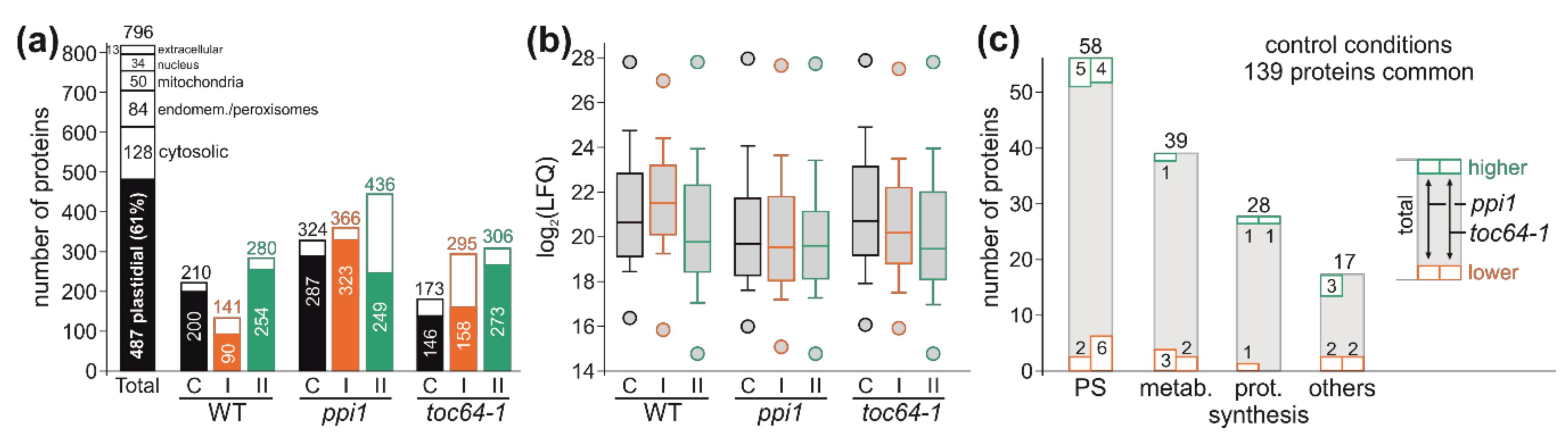 Genes 11 00650 g003 Genes 11 00650 g003