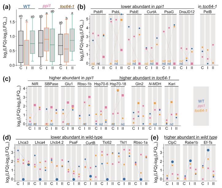 Genes 11 00650 g005 Genes 11 00650 g005