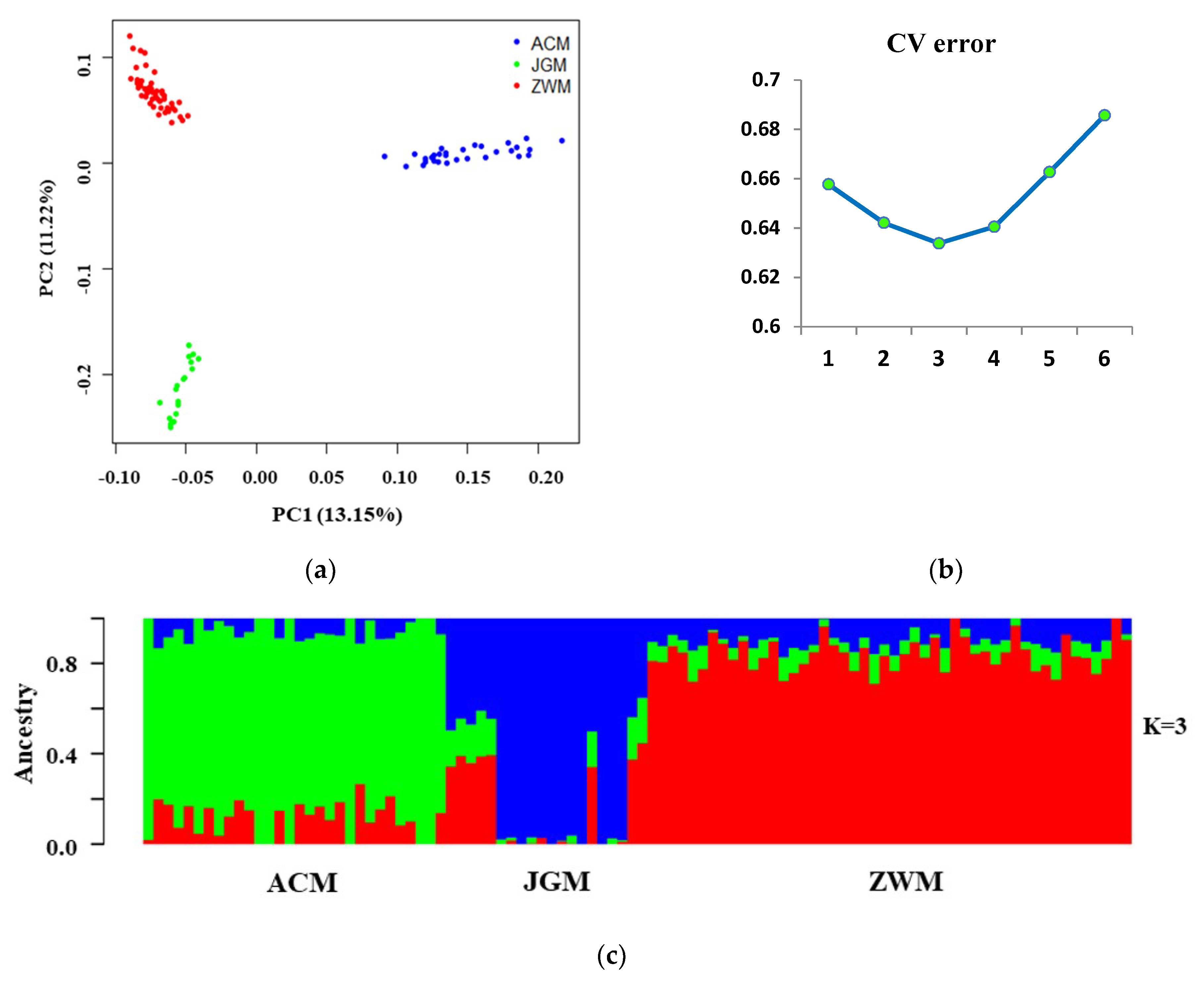 Genes 11 00652 g003 Genes 11 00652 g003