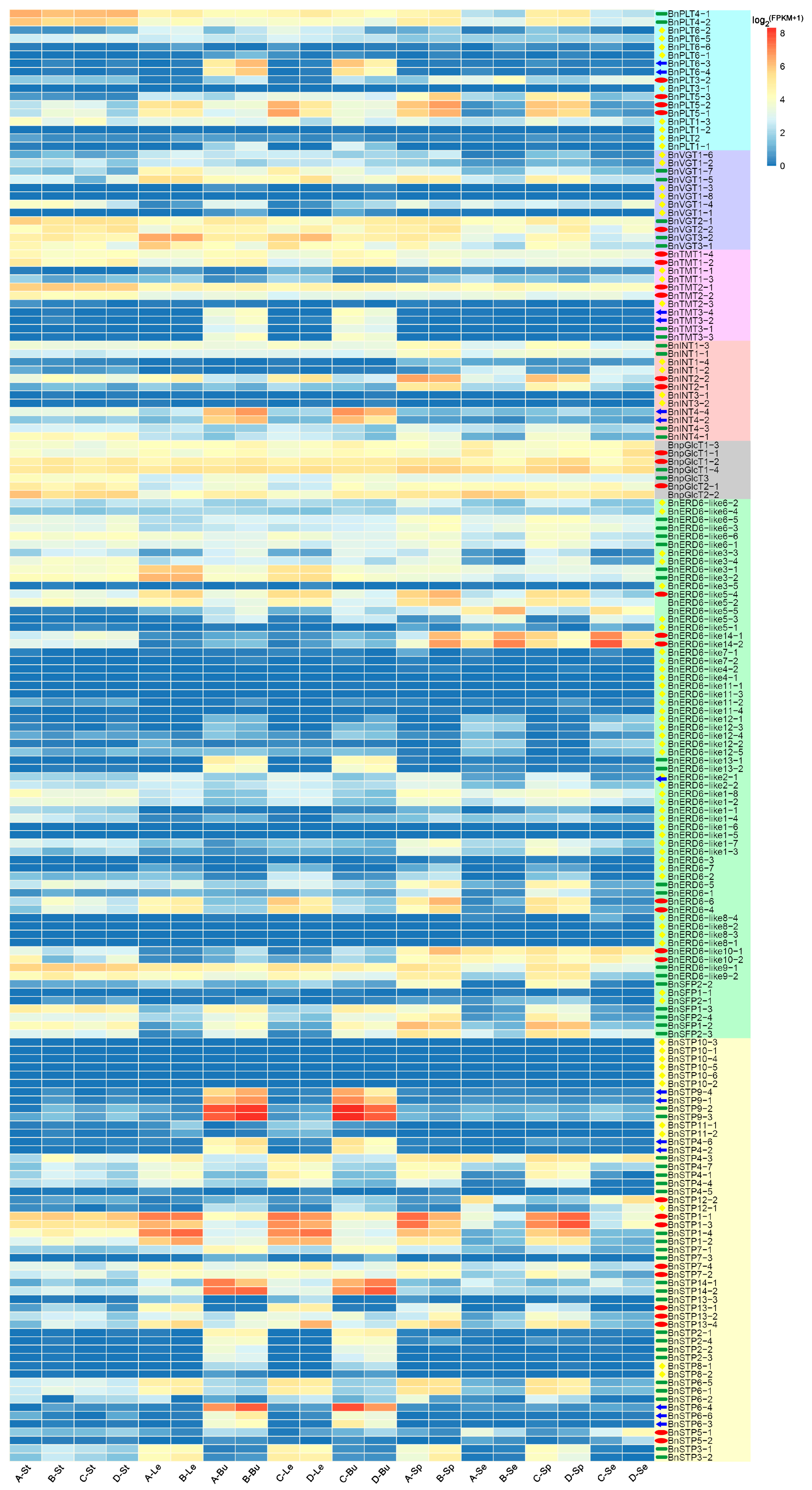 Genes 11 00653 g005 Genes 11 00653 g005